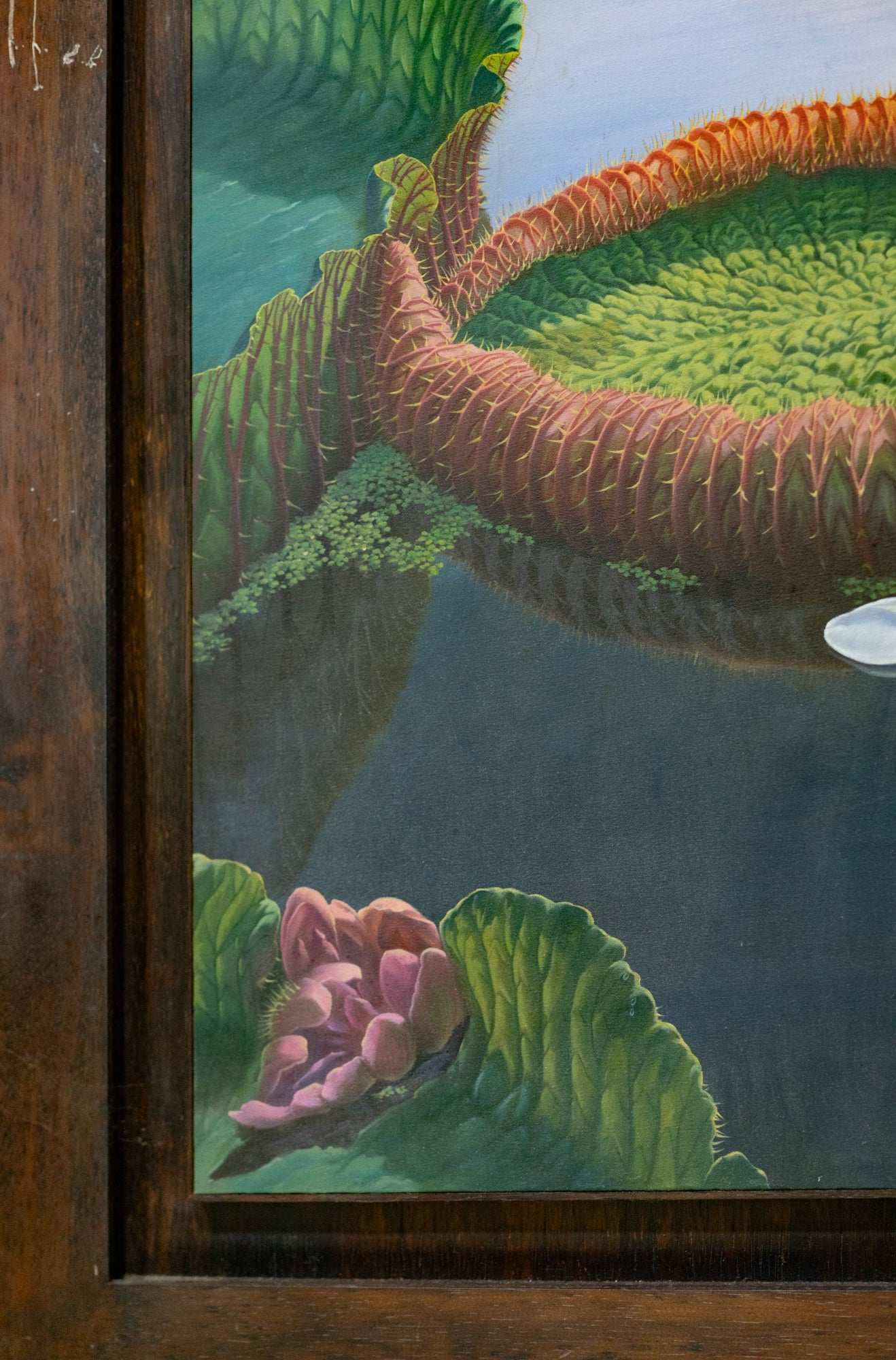 Unknown Artist, Untitled (Lilies), Undated