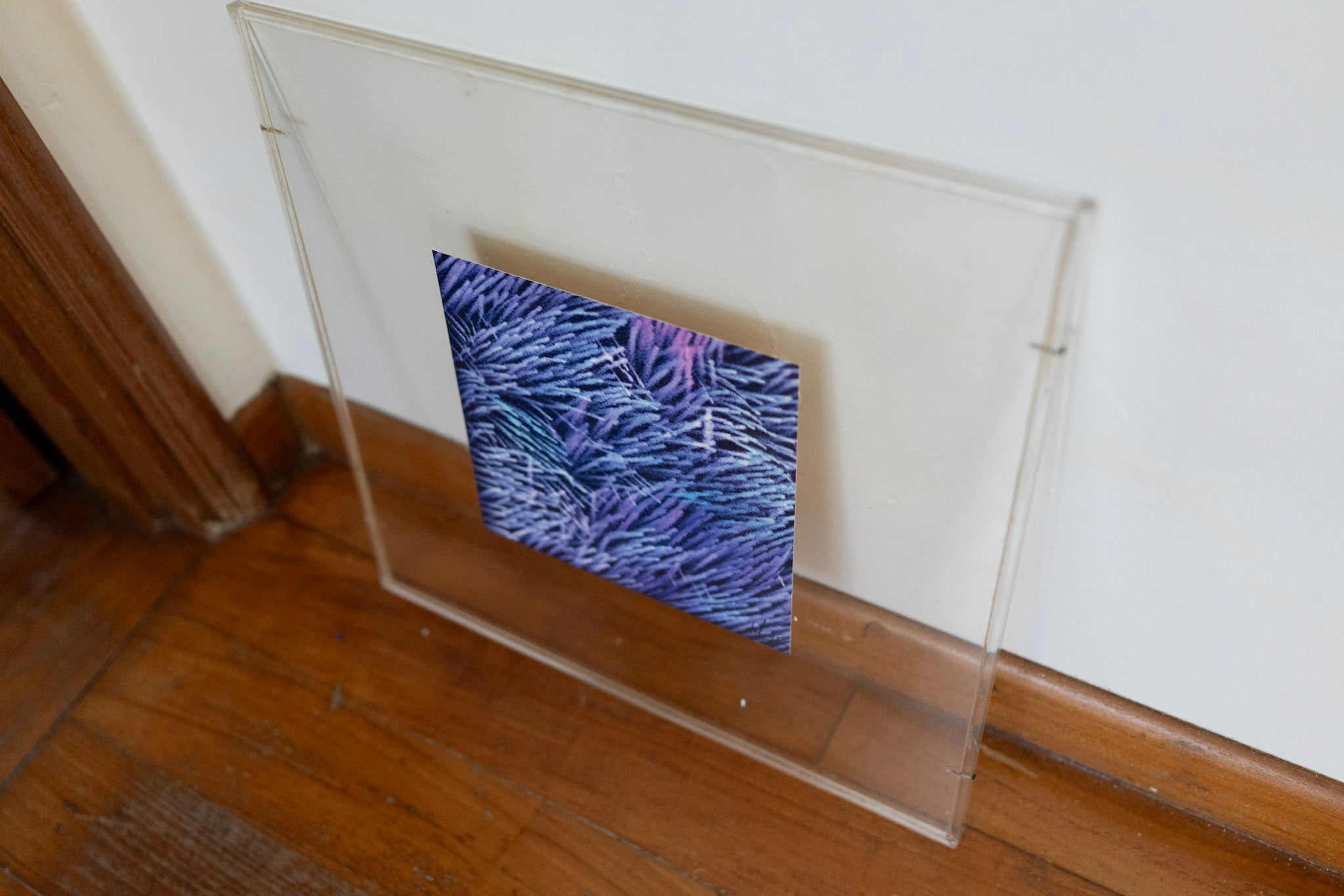 Lin Hsin Hsin, Untitled (Purple Coral), 1995