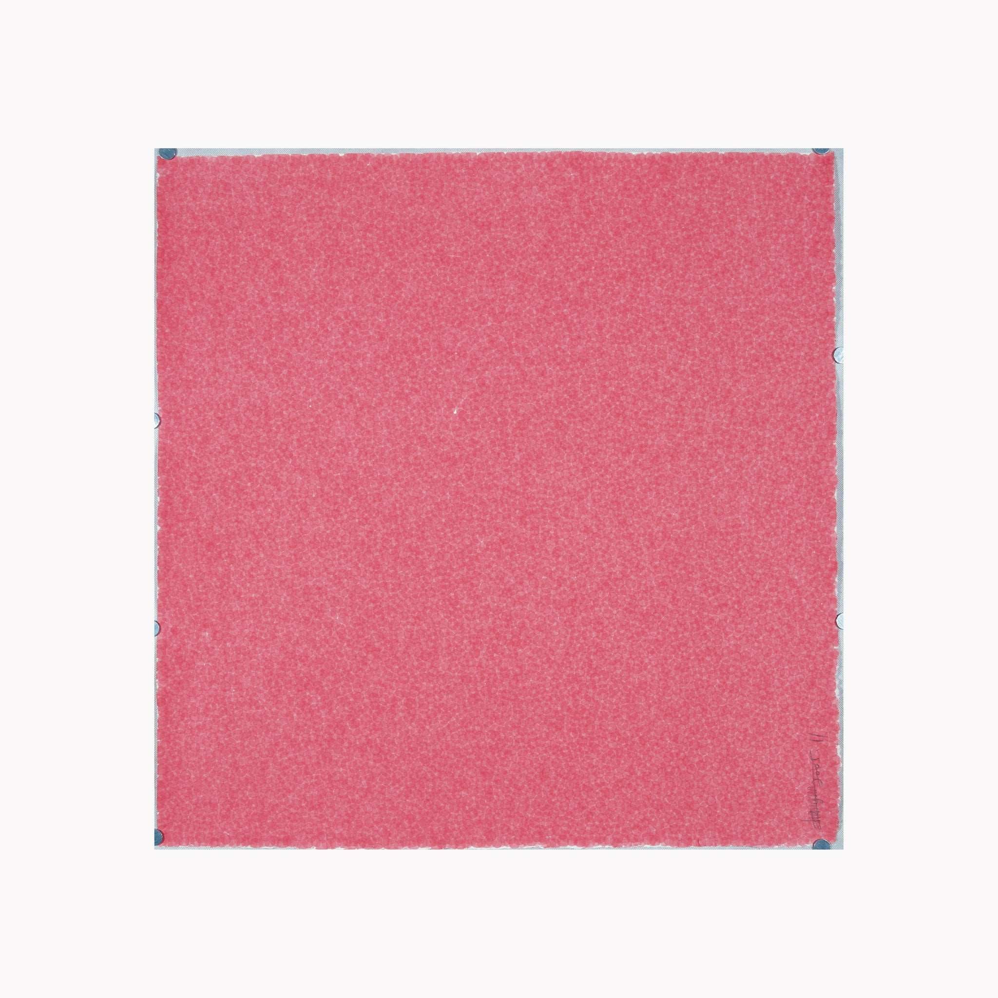 Zhang Yu, Fingerprints - 2005.11-2, 2005