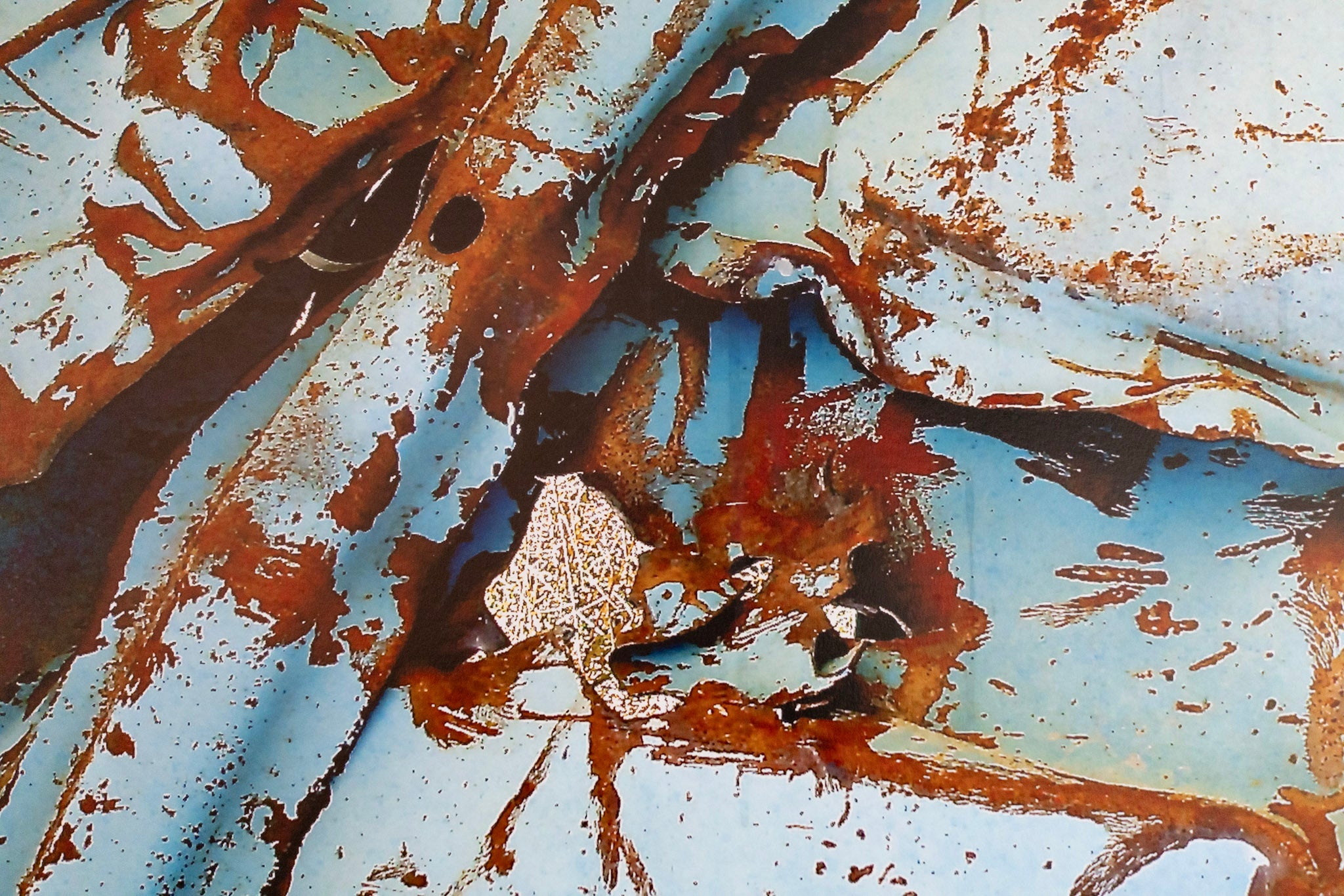 Sharis Garabedian, Untitled (Rusted Truck), 2009