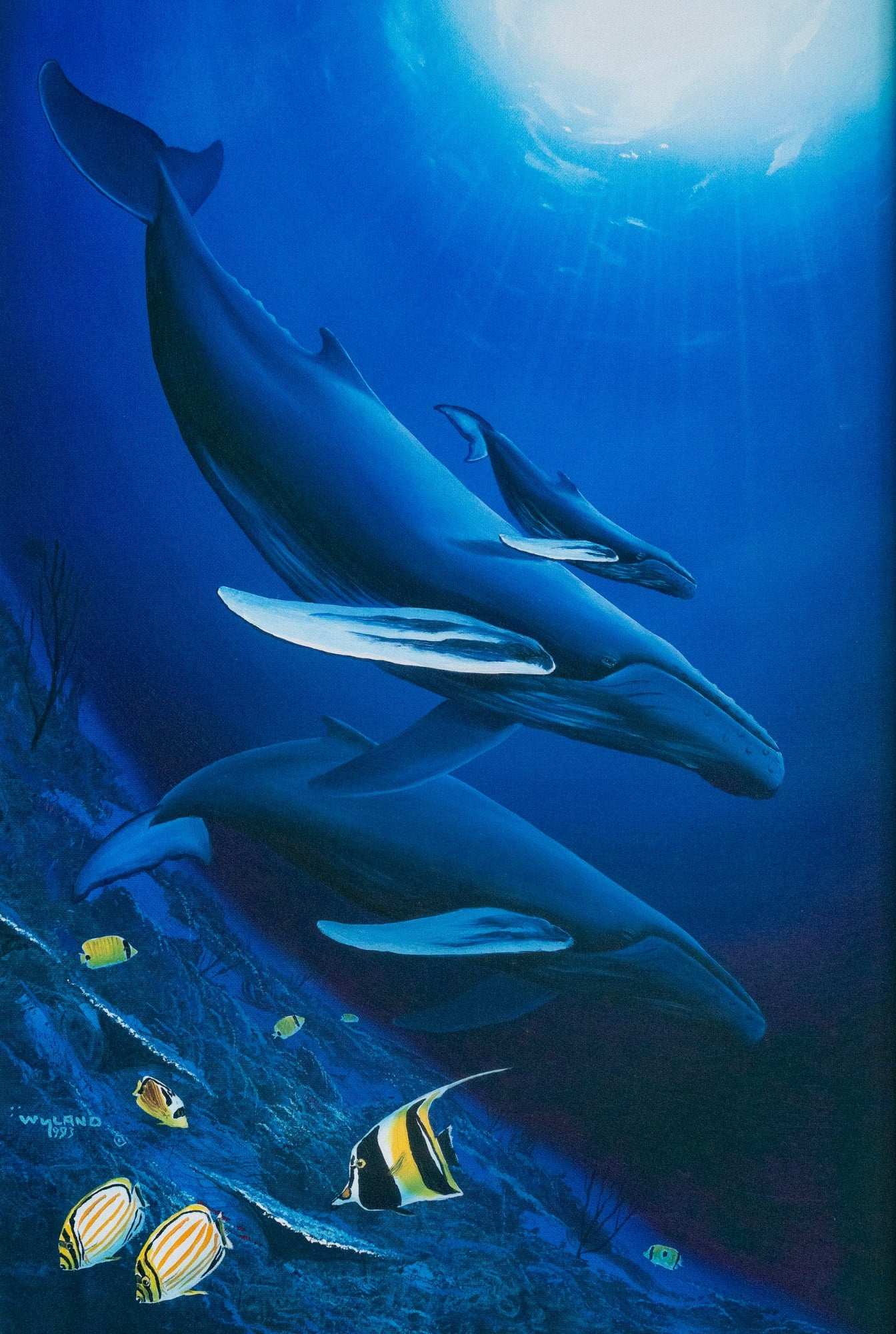 ワイランド/Robert Wyland チルドレンオブザシー 46/250 ワイランド/Robert Wyland チルドレンオブザシー 46/250 Robert