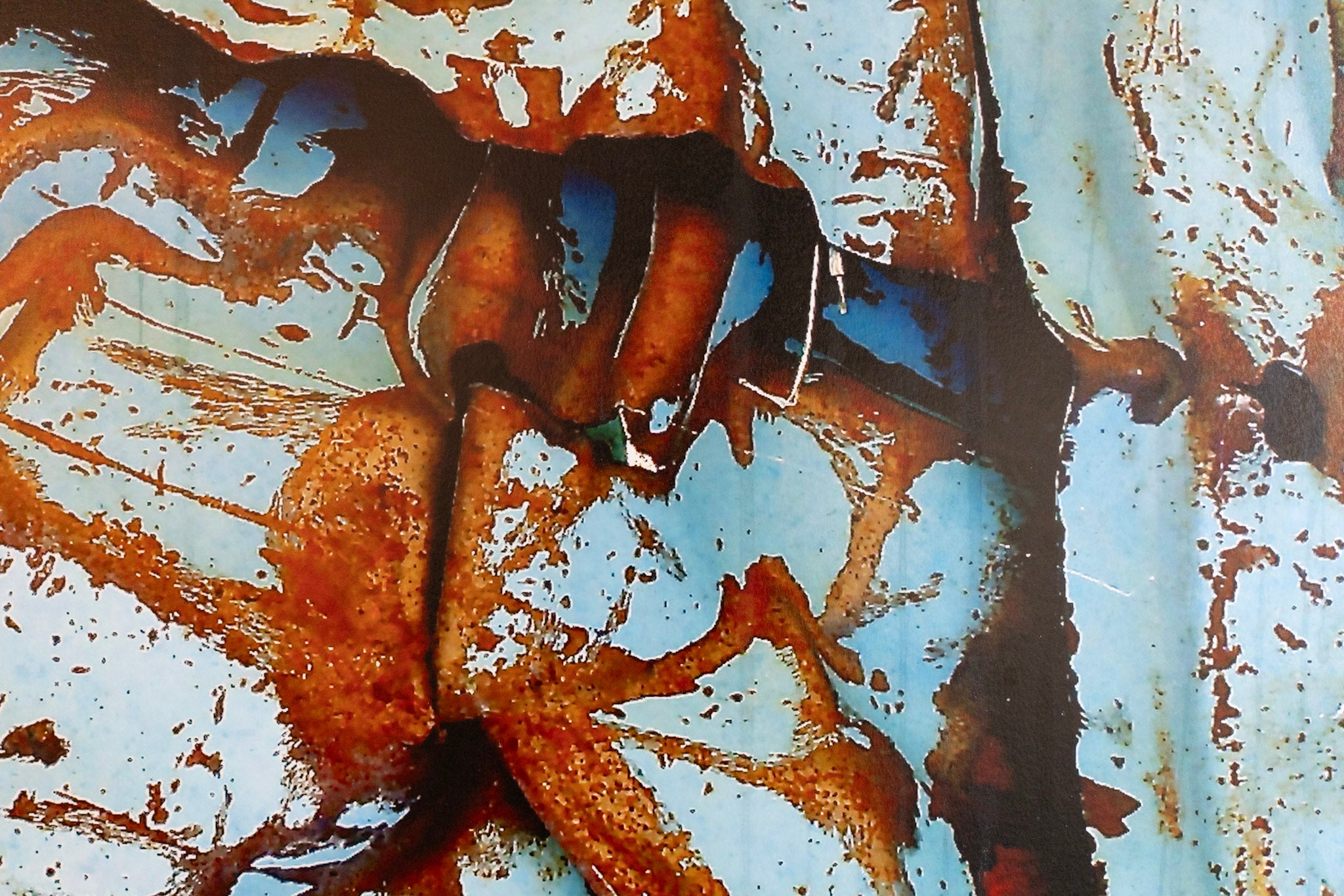 Sharis Garabedian, Untitled (Rusted Truck), 2009