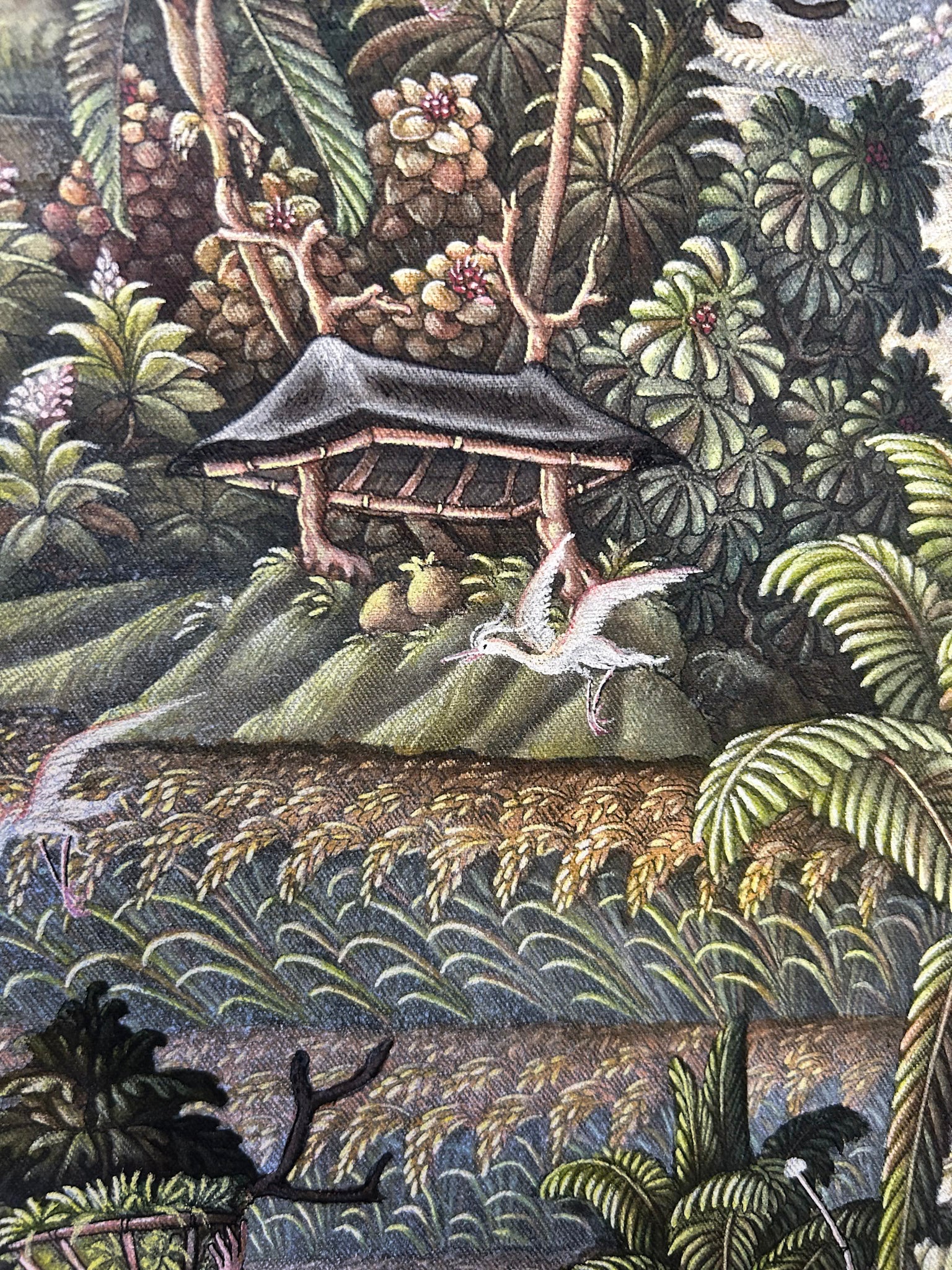 F. Bucu, Tegallalang Bali, Undated