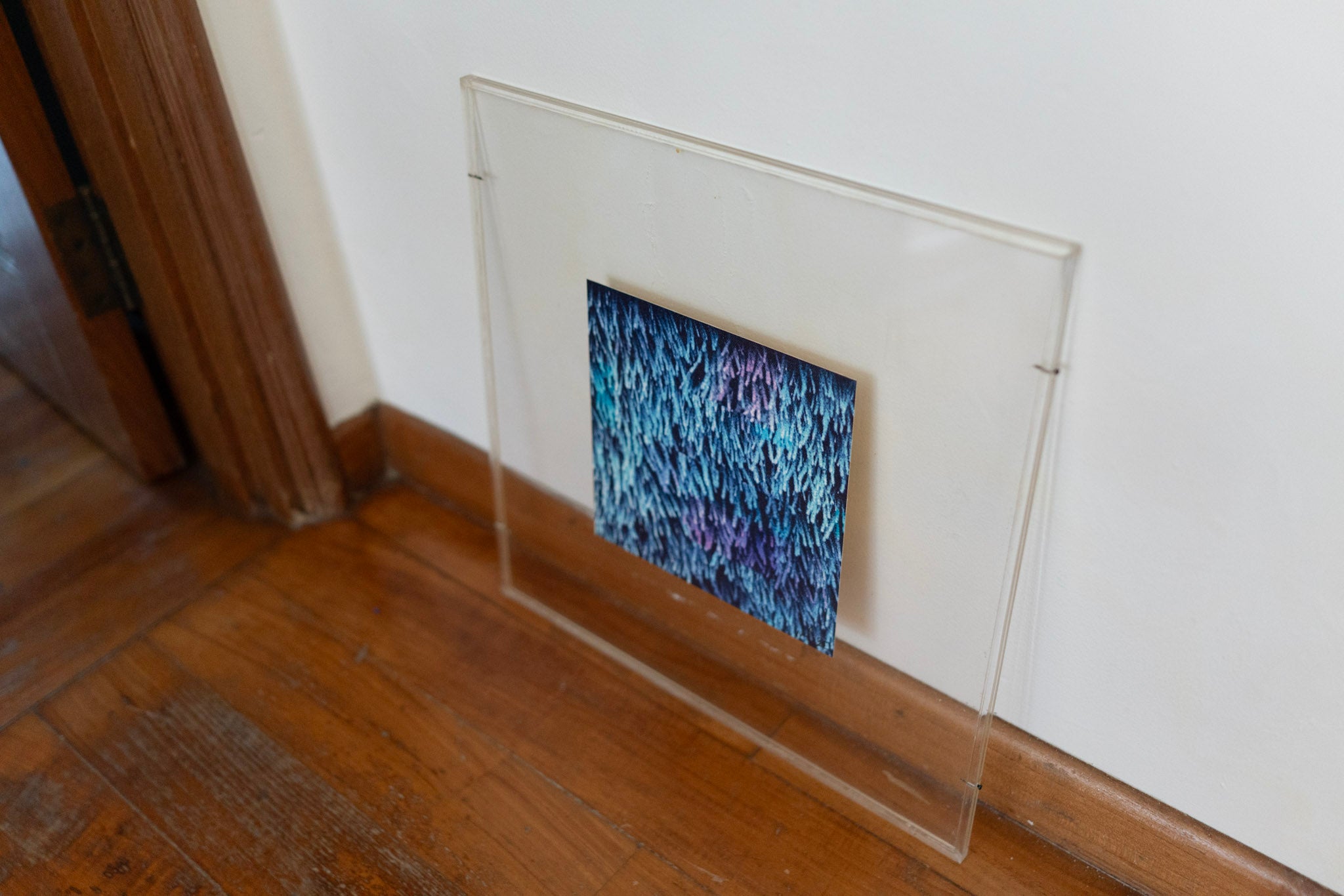 Lin Hsin Hsin, Untitled (Blue Coral), 1995