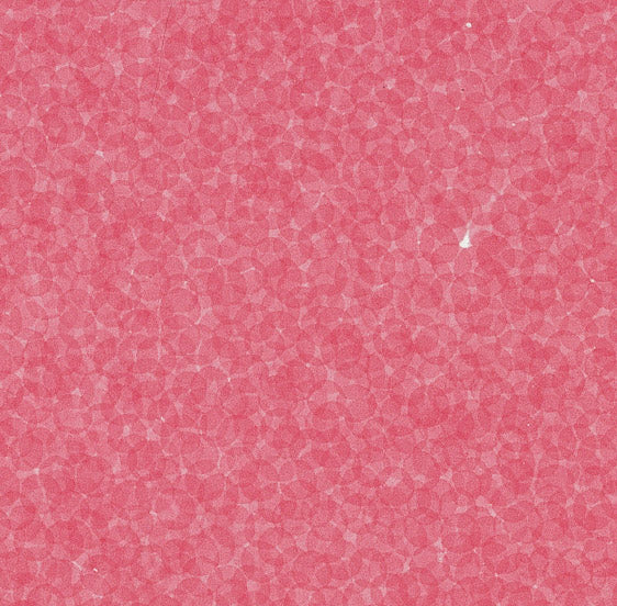 Zhang Yu, Fingerprints - 2005.11-2, 2005