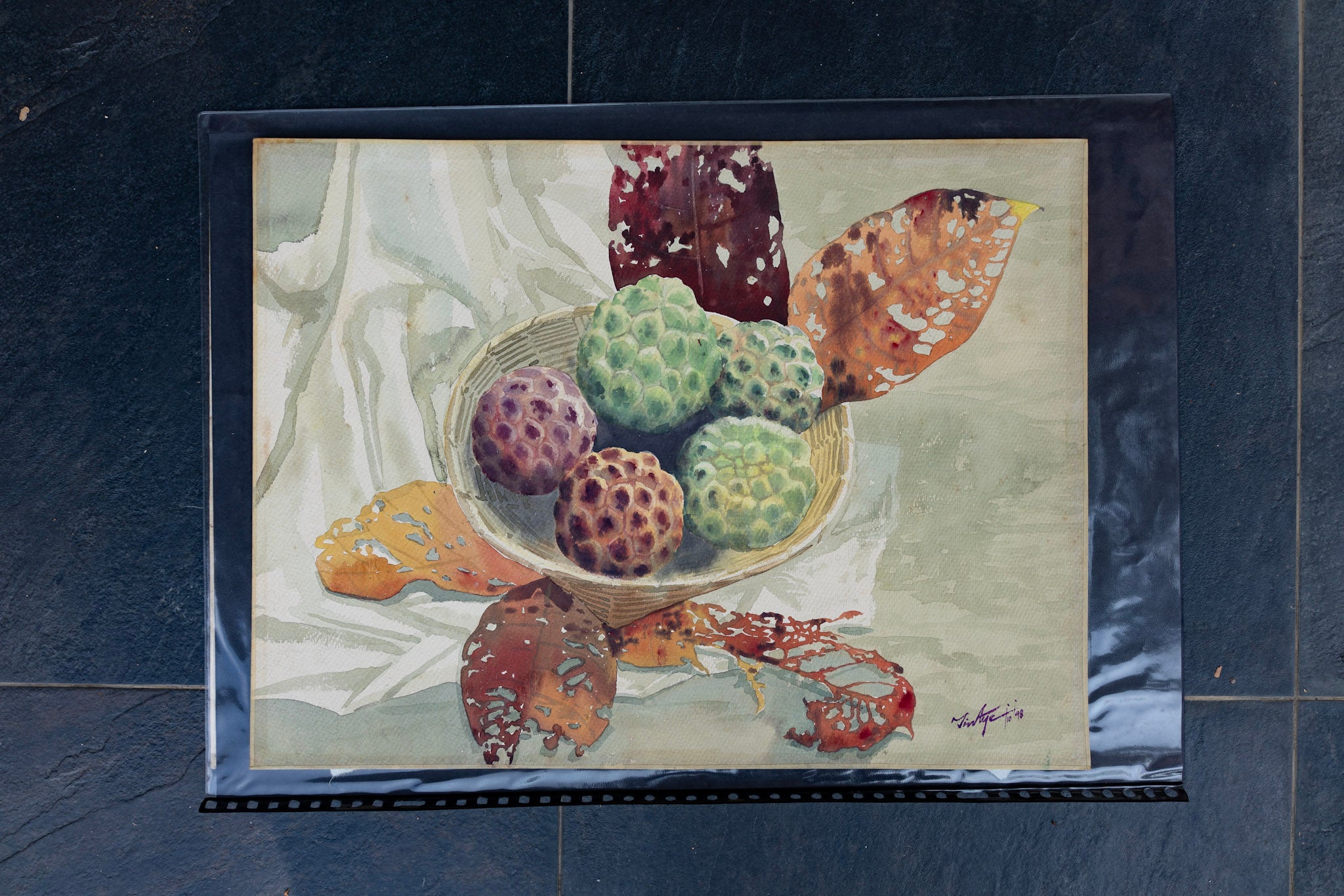 U Tin Aye, Untitled (Custard Apples), 1998