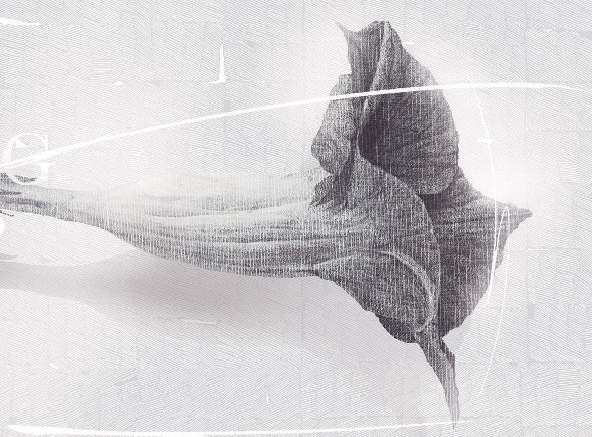 Kim Young-Sik, Eternity and Limitation 5, 2008