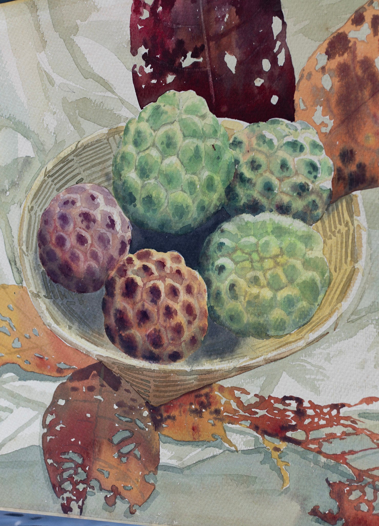 U Tin Aye, Untitled (Custard Apples), 1998