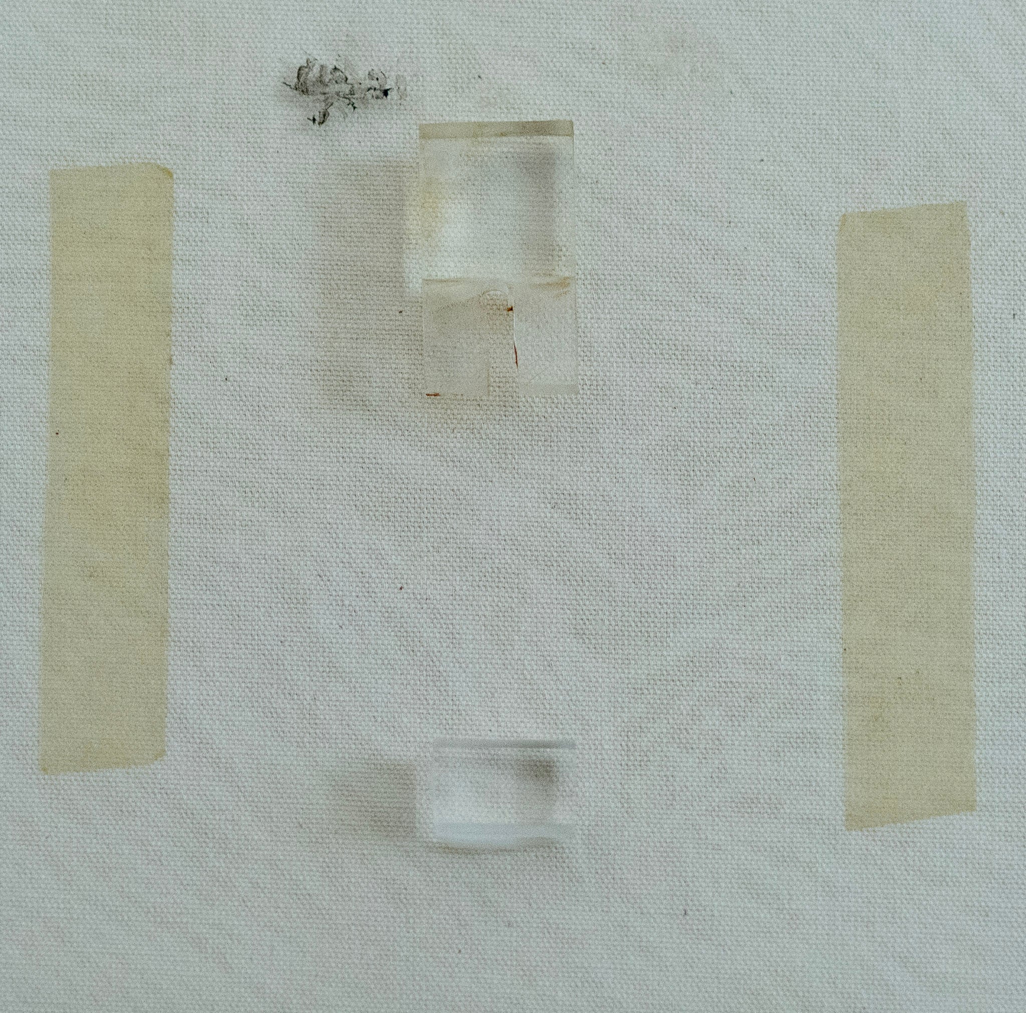 Lin Hsin Hsin, Untitled (Purple Coral), 1995