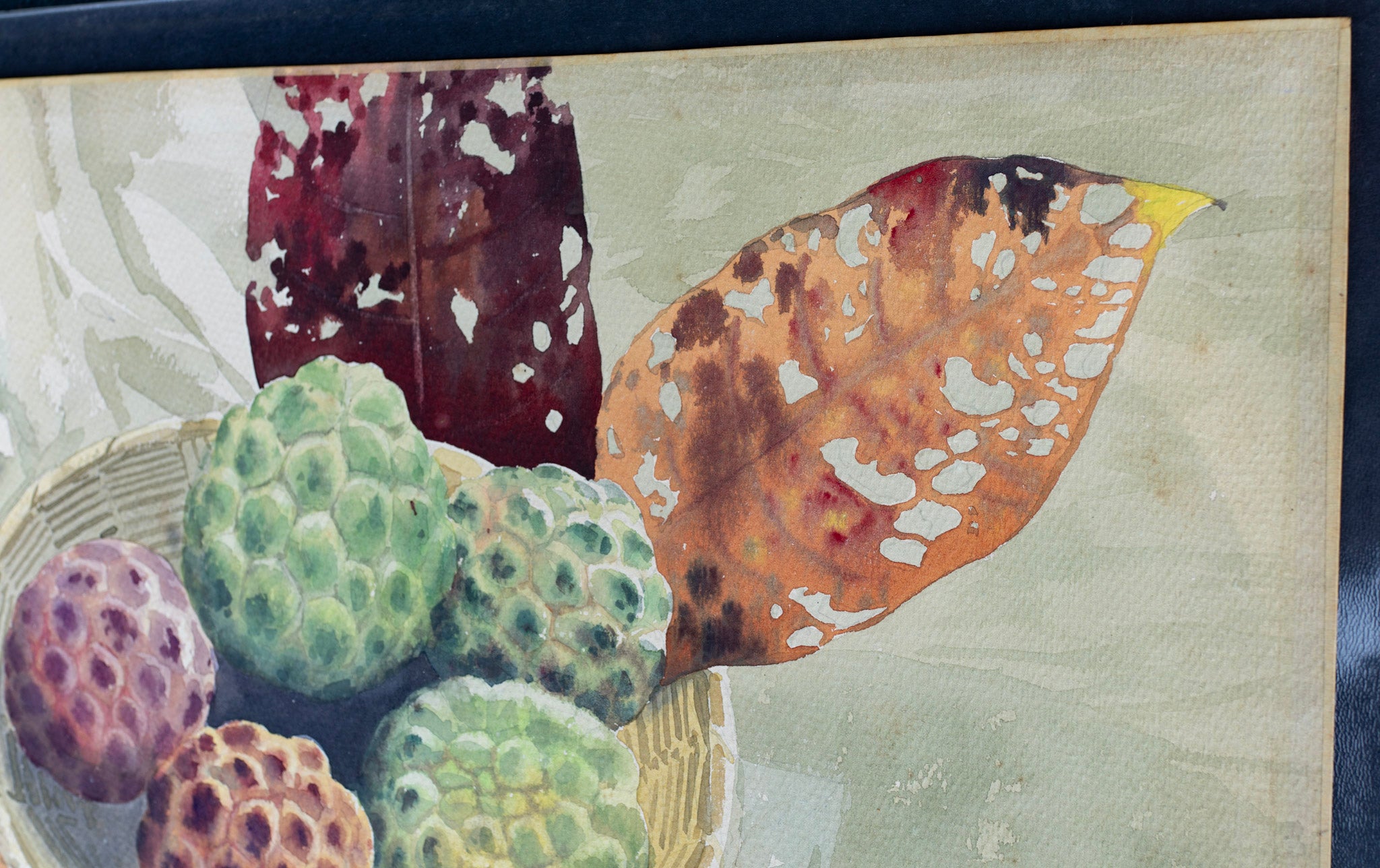 U Tin Aye, Untitled (Custard Apples), 1998