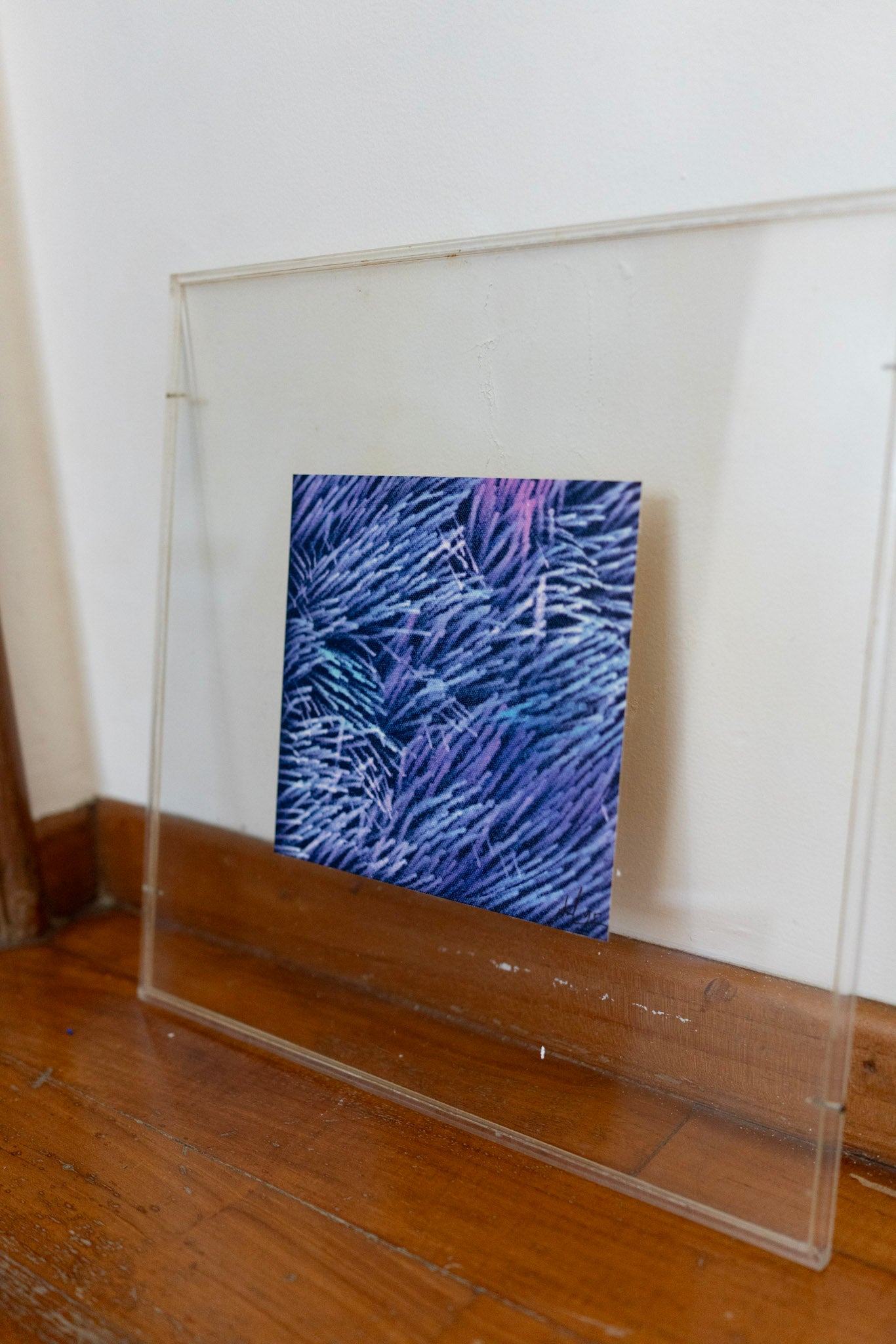 Lin Hsin Hsin, Untitled (Purple Coral), 1995