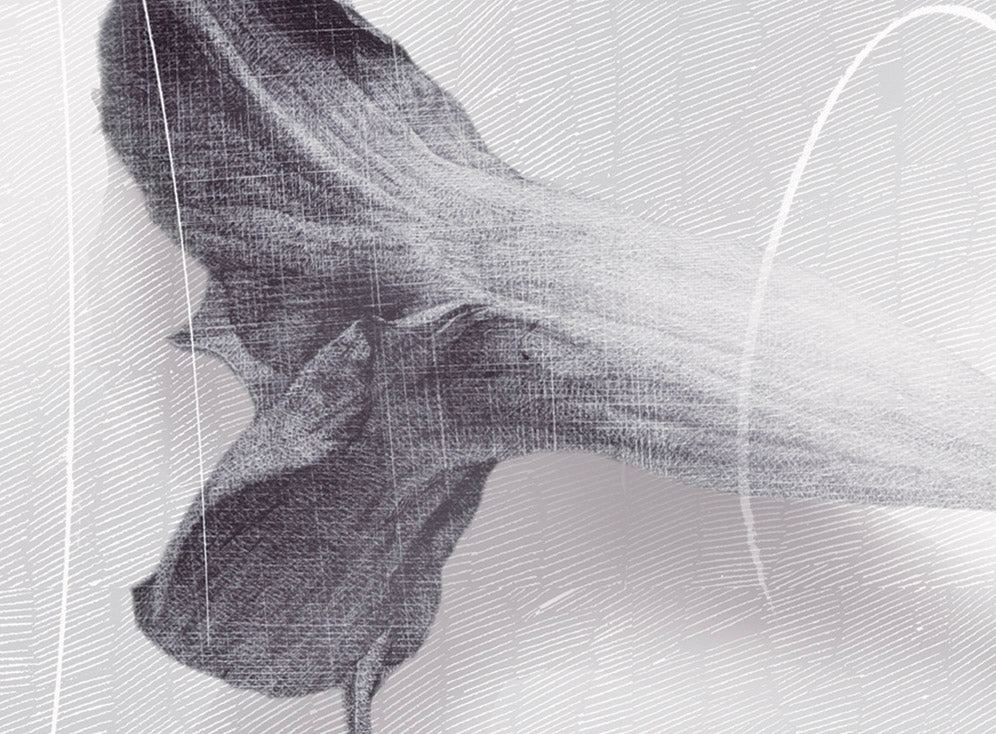 Kim Young-Sik, Eternity and Limitation 6, 2008