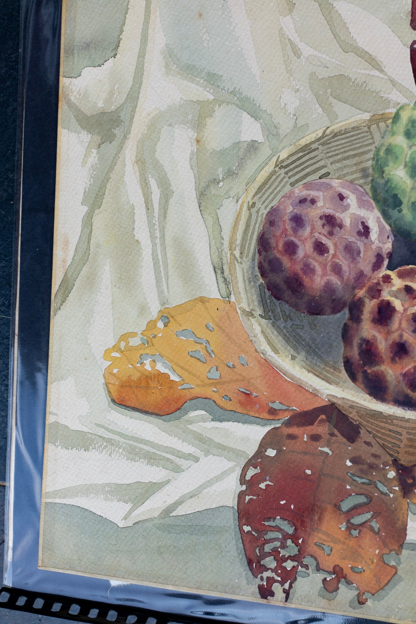 U Tin Aye, Untitled (Custard Apples), 1998