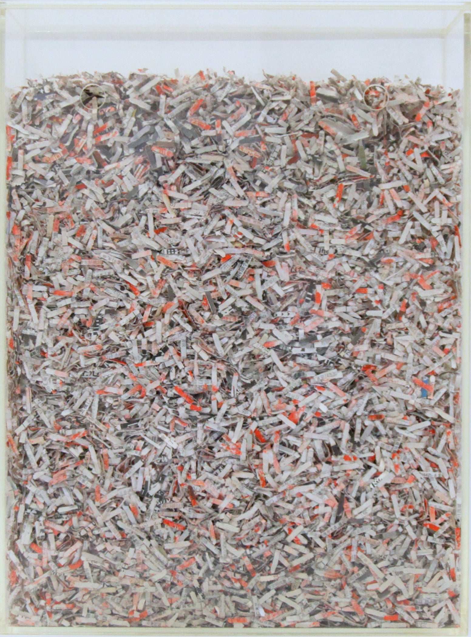 Zhang Yu, Archived and Shredded Fingerprints, 2014