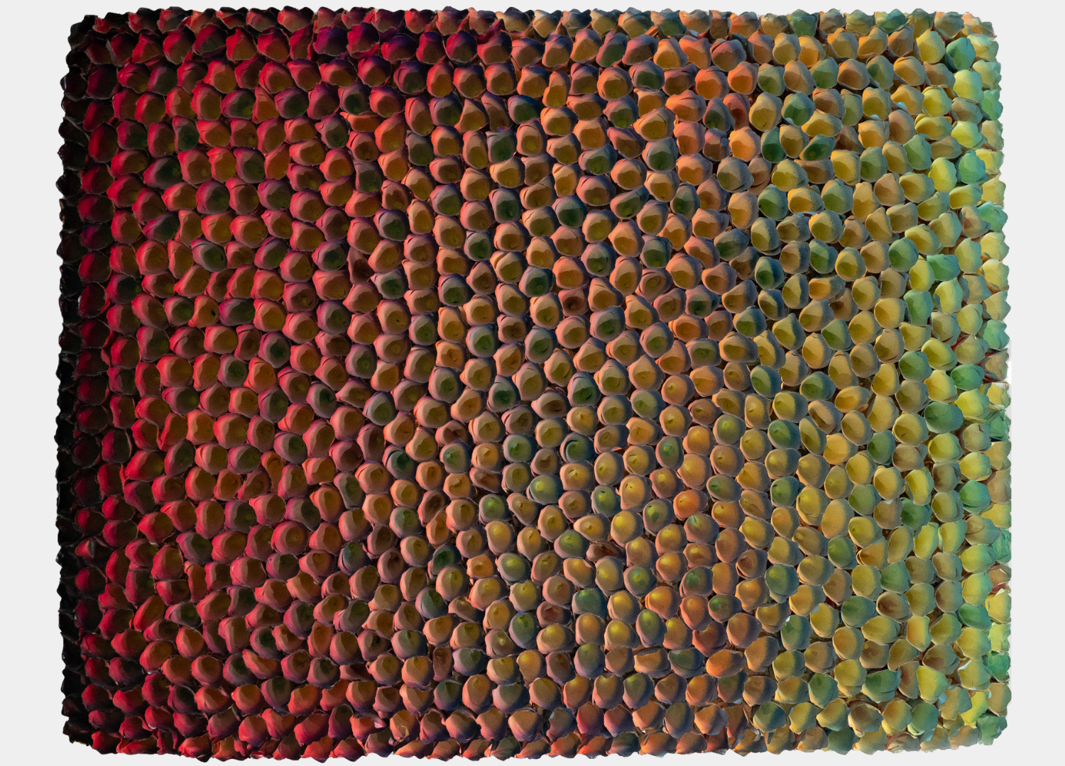 Zhuang Hong Yi, Multicolour, Undated