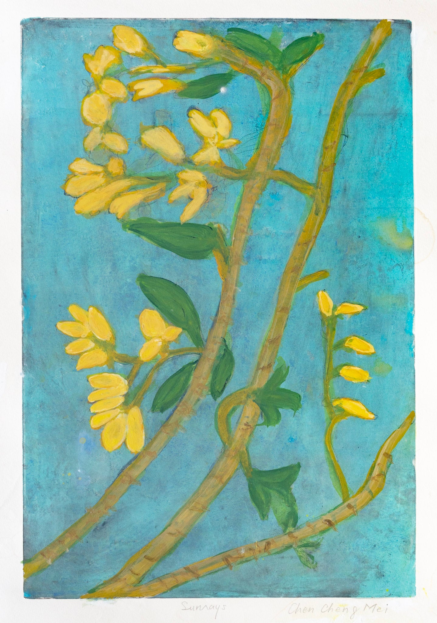 Chen Cheng Mei, Sunrays, Undated