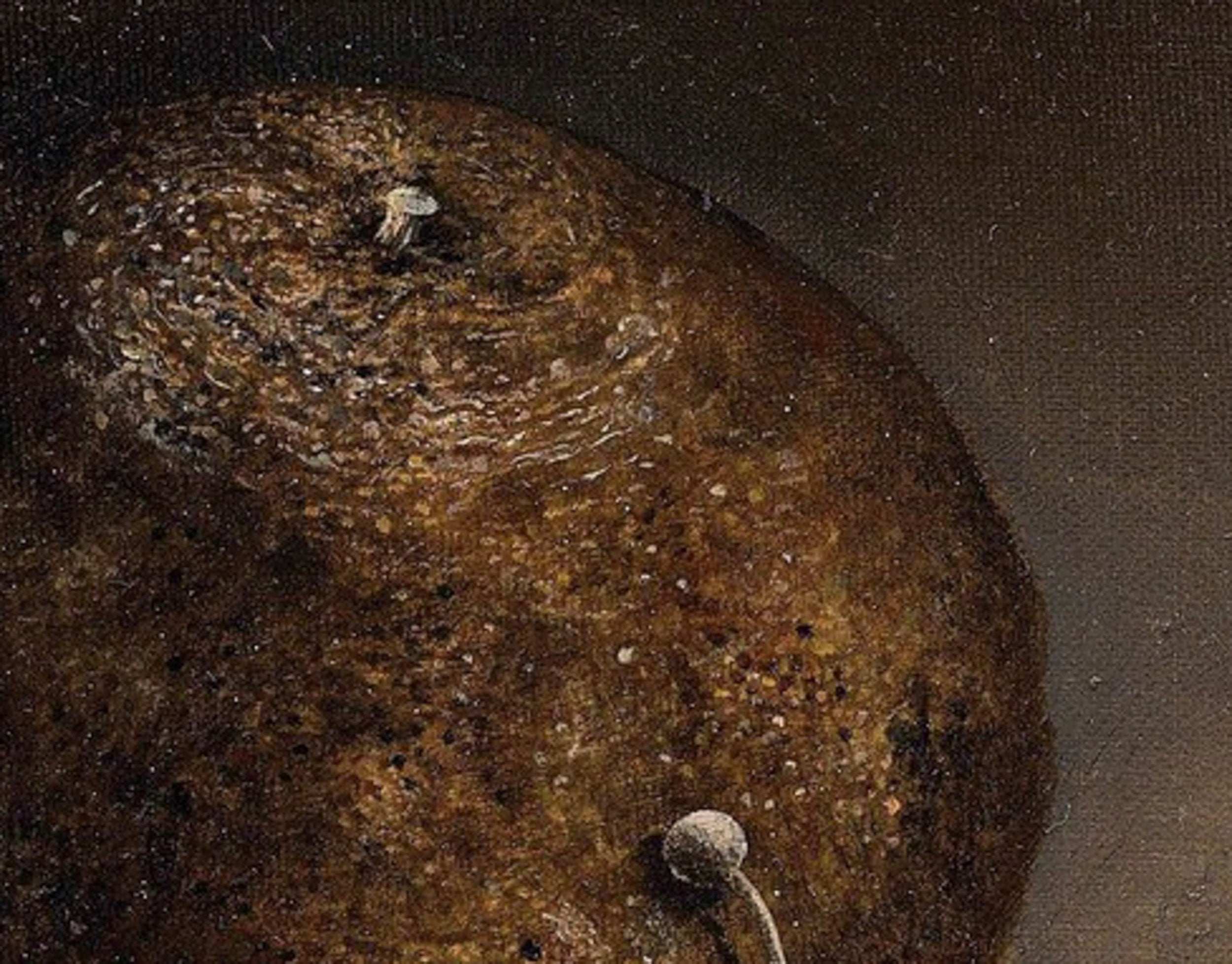 Reef Hsu, Fungi Series -Symbiosis, 2006