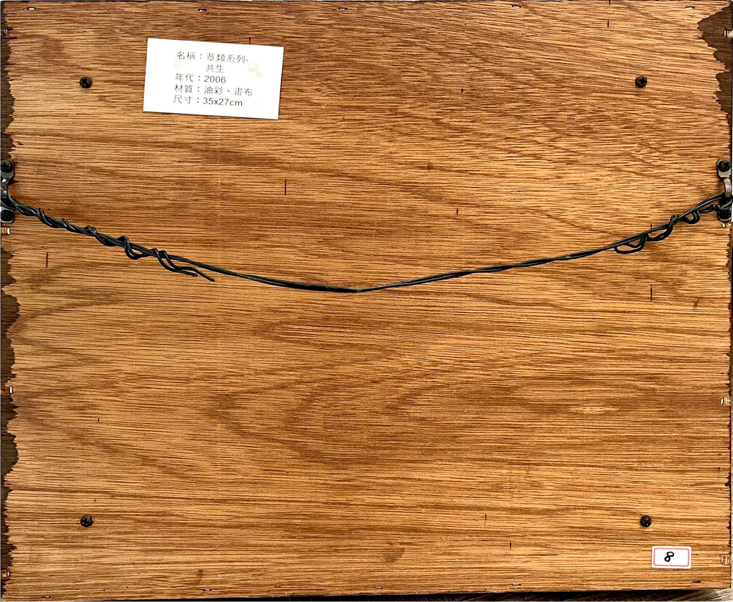 Reef Hsu, Fungi Series -Symbiosis, 2006