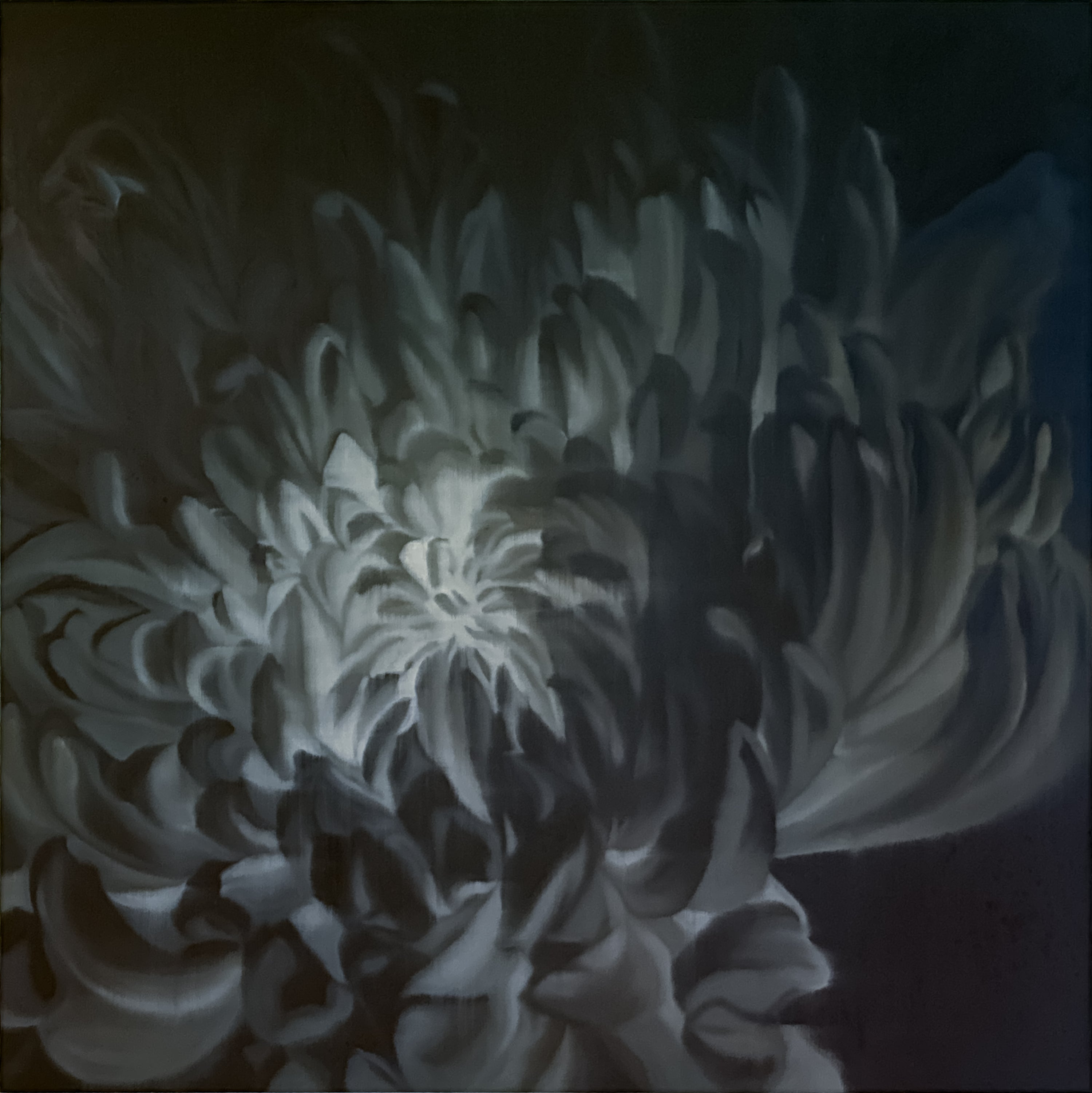 Eric Chan, Chrysanthemum, Undated