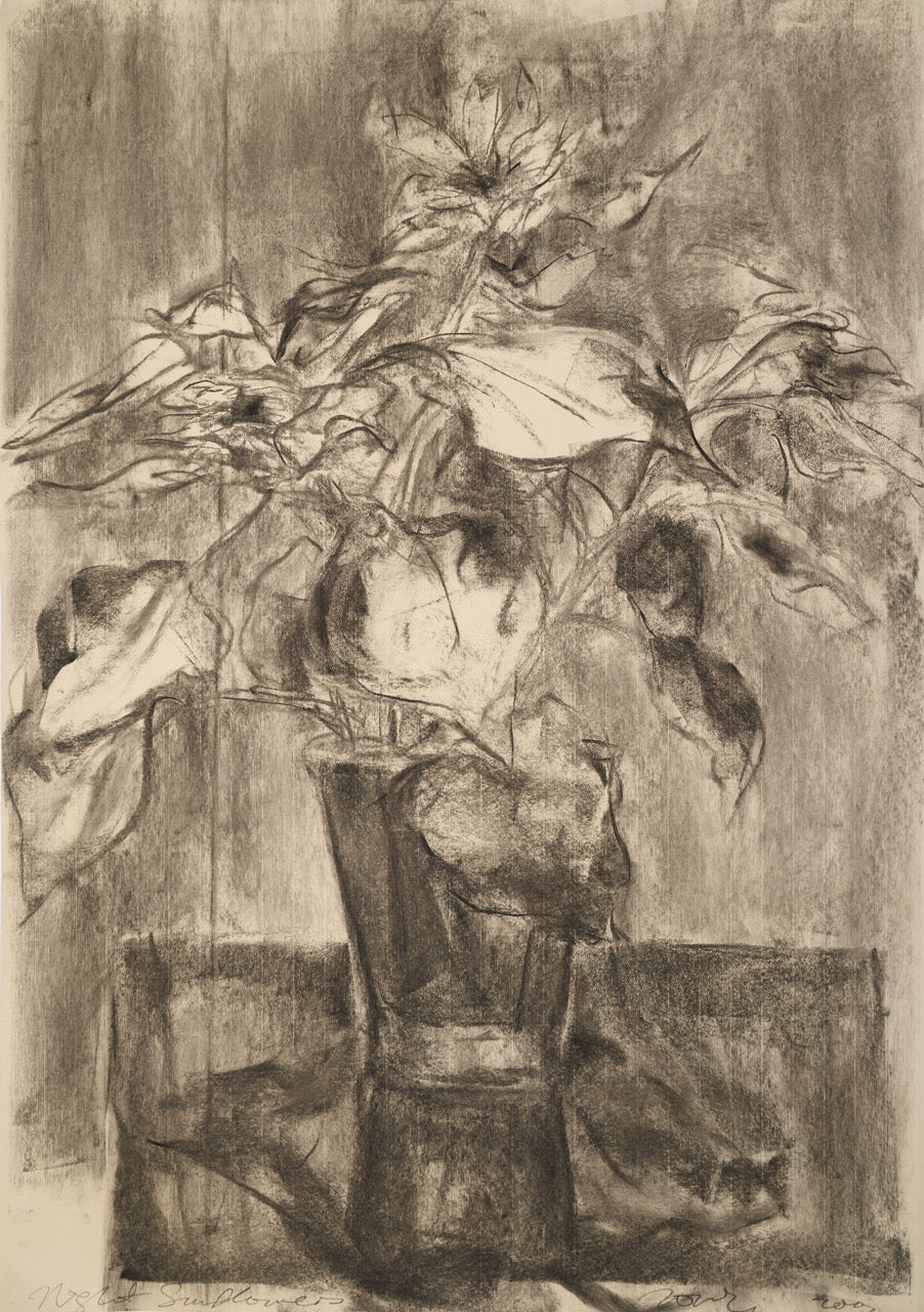 Jimmy Ong, Night Sunflowers (Night Still Life series), 2002