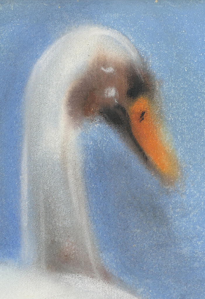 Max Liu Chi Wei, Swan, 1994