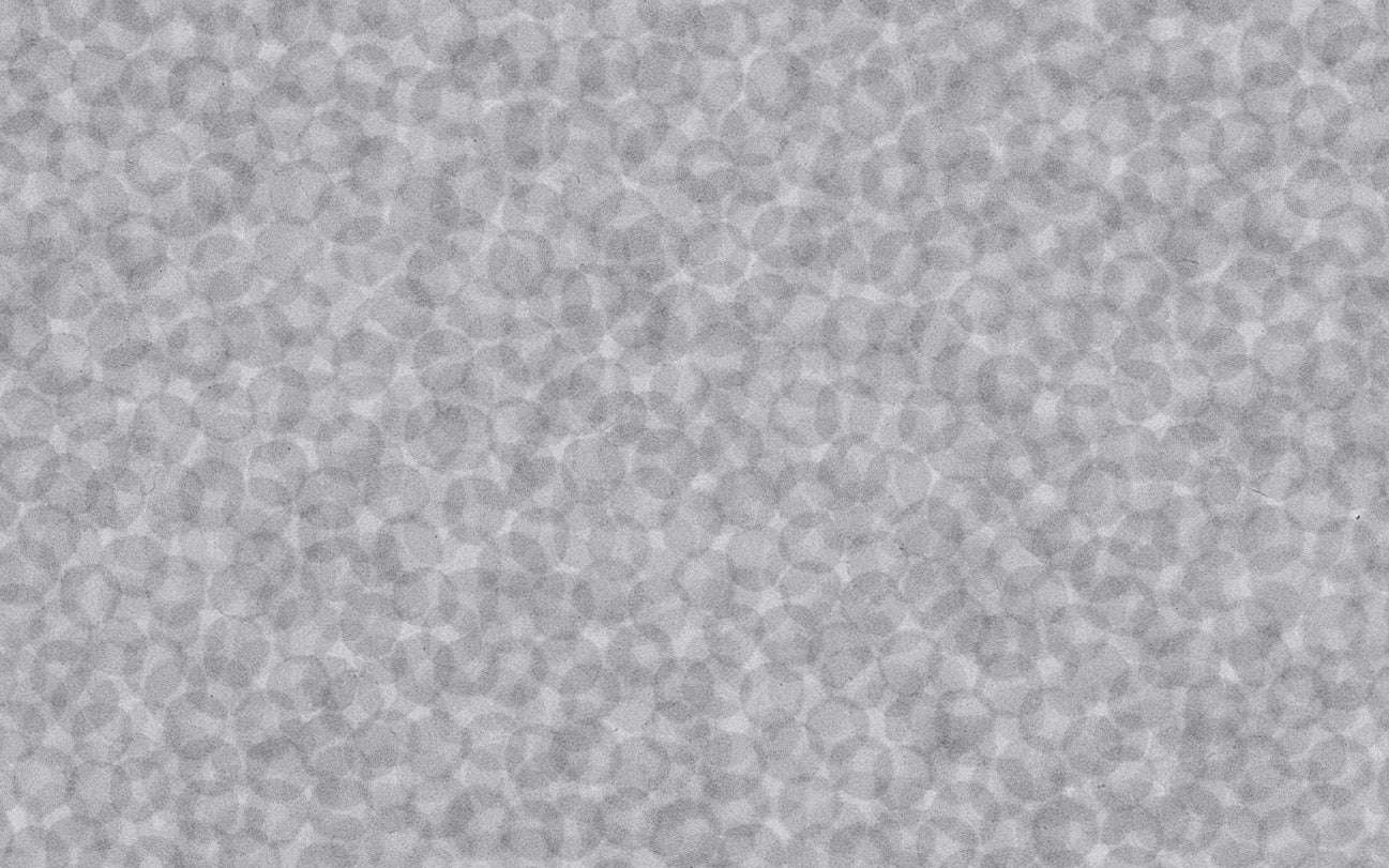 Zhang Yu, Fingerprints -2008.9-1, 2008