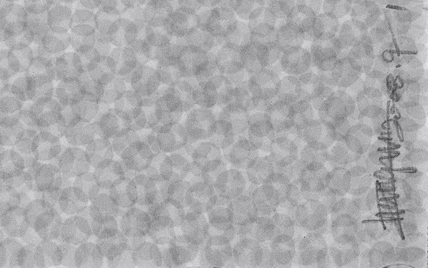 Zhang Yu, Fingerprints -2008.9-1, 2008