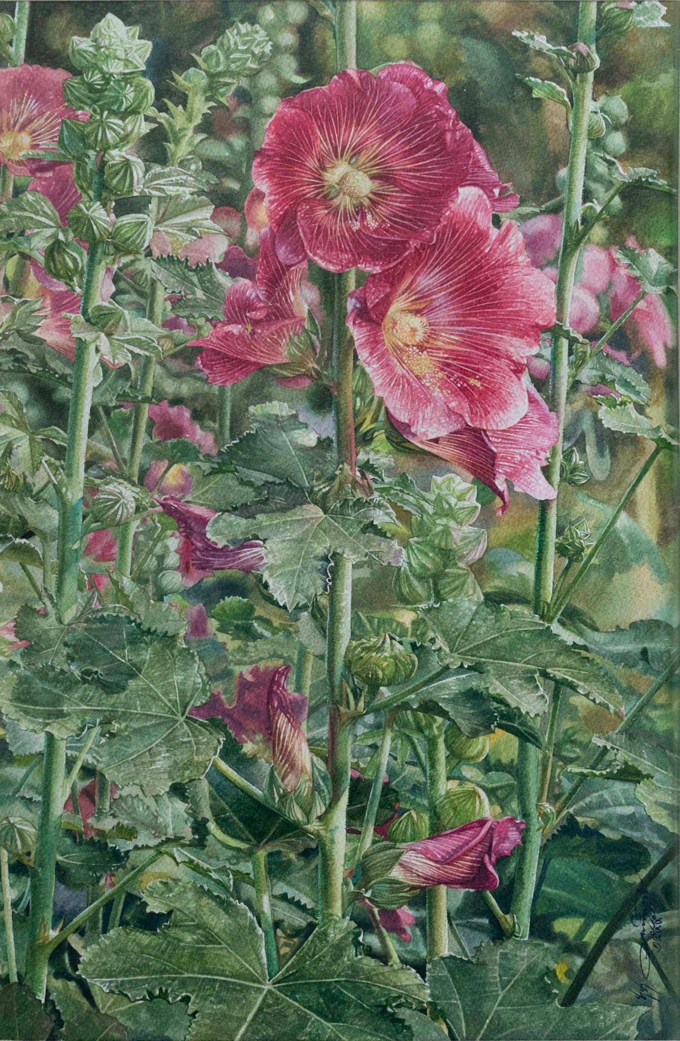 Unknown Artist, Untitled (Wild Rose, Hollyhock), 1999