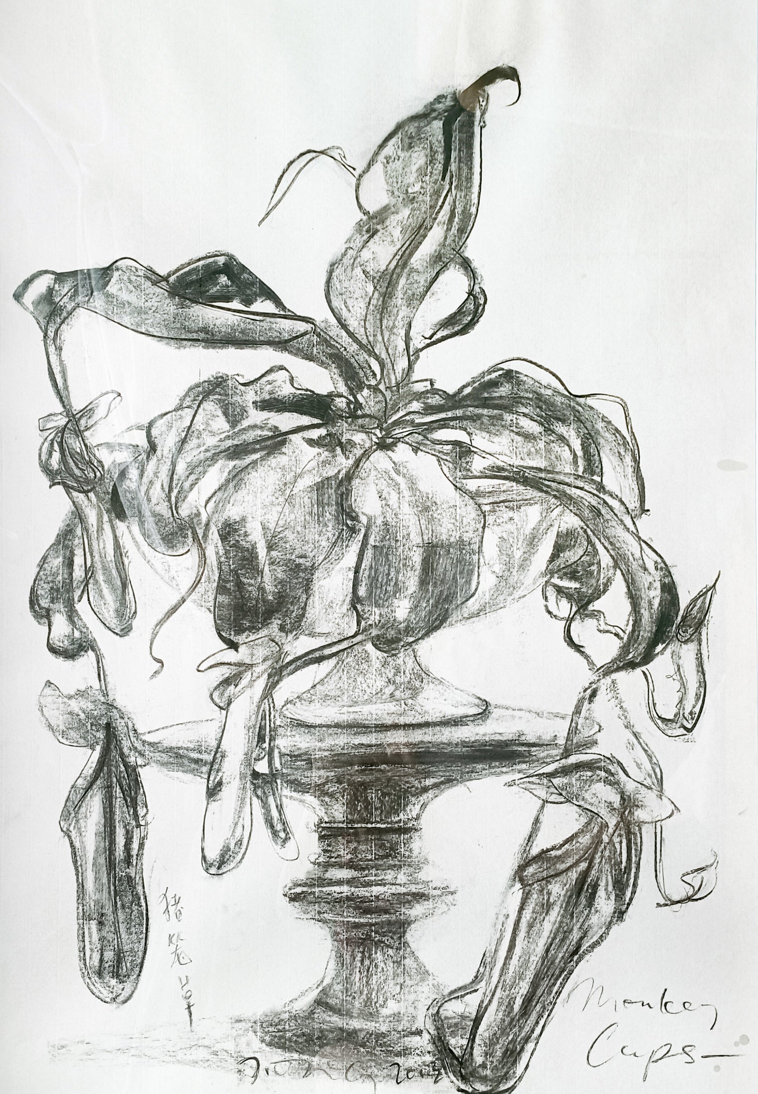 Jimmy Ong, Monkey Cups, 2013