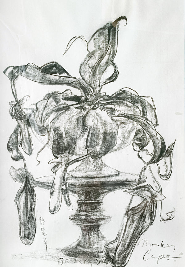 Jimmy Ong, Monkey Cups, 2013