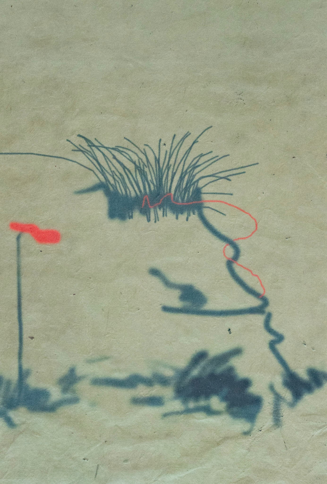 Lin Hsin Hsin, Untitled (Graphic Flower V1), Undated