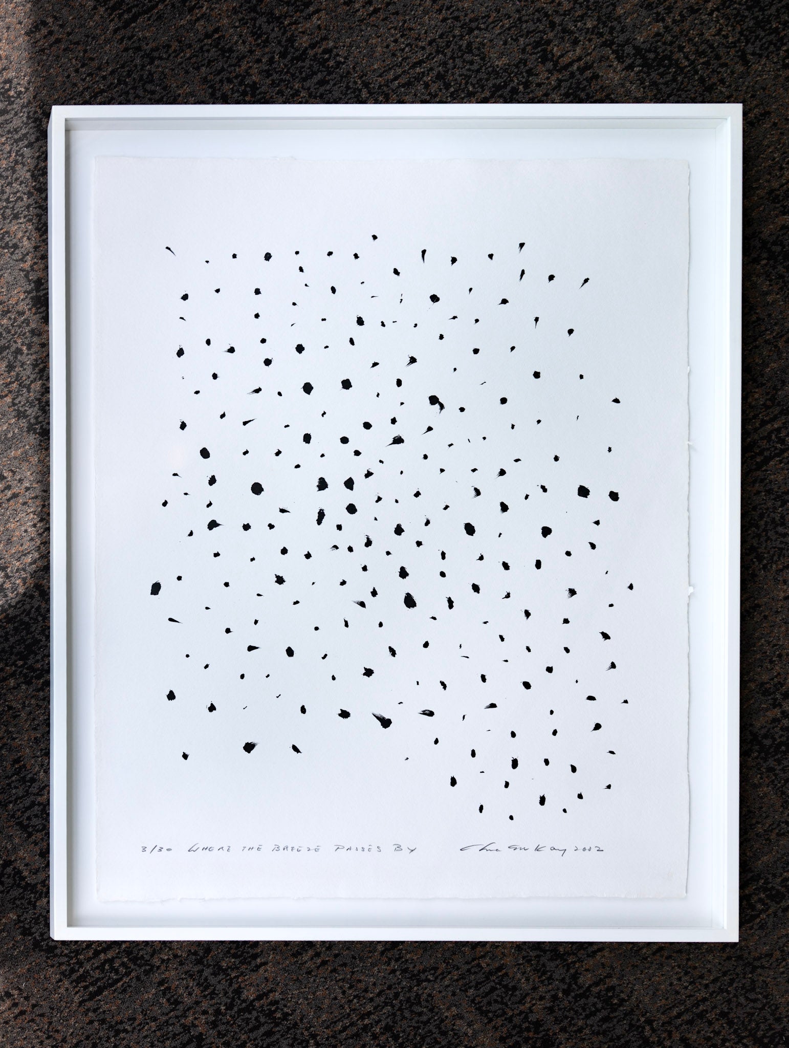 Chua Ek Kay, Where The Breeze Passes By, 2002
