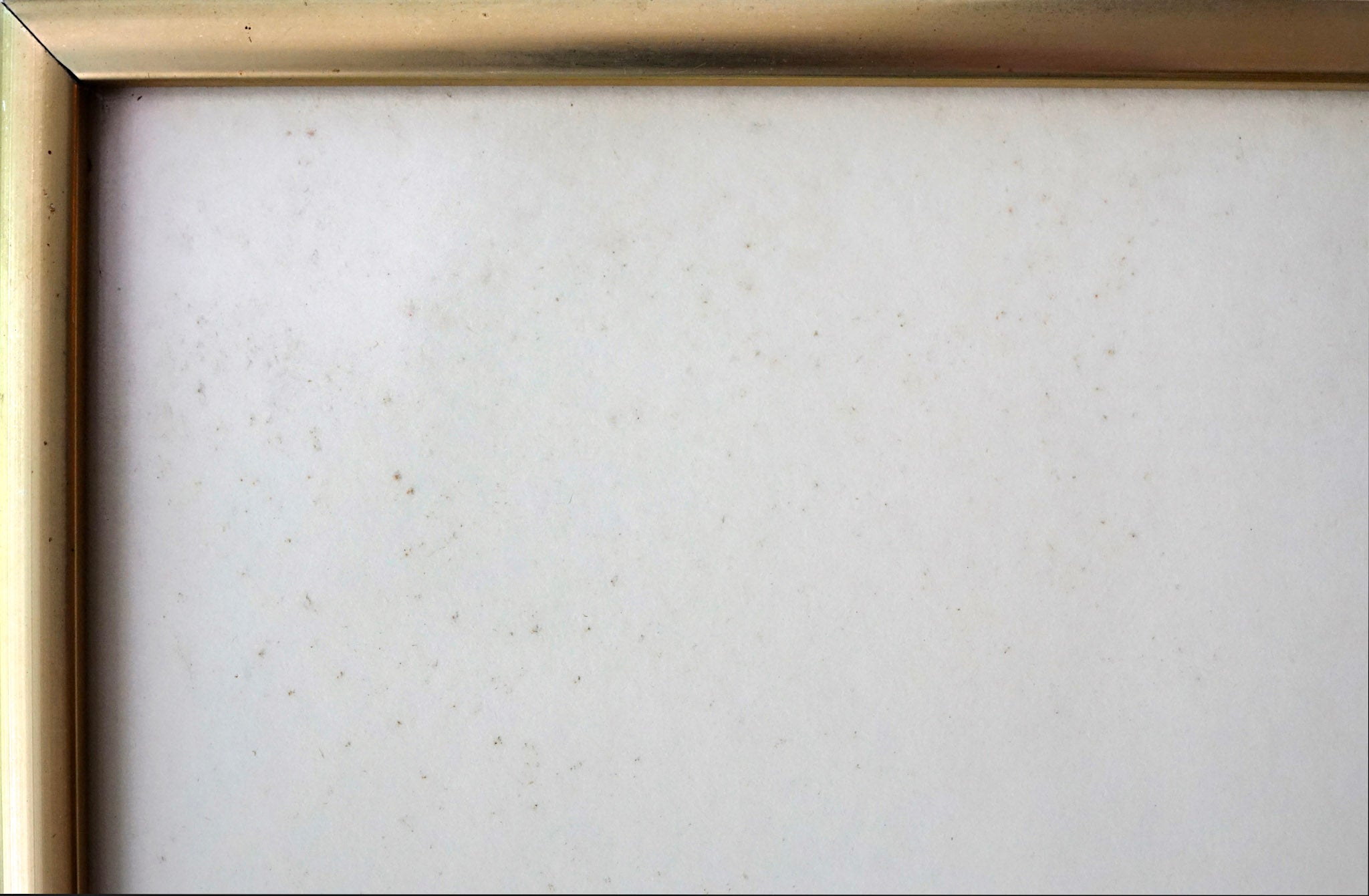 Chen Wen Hsi, Five Sparrows on Bamboo, 1980s