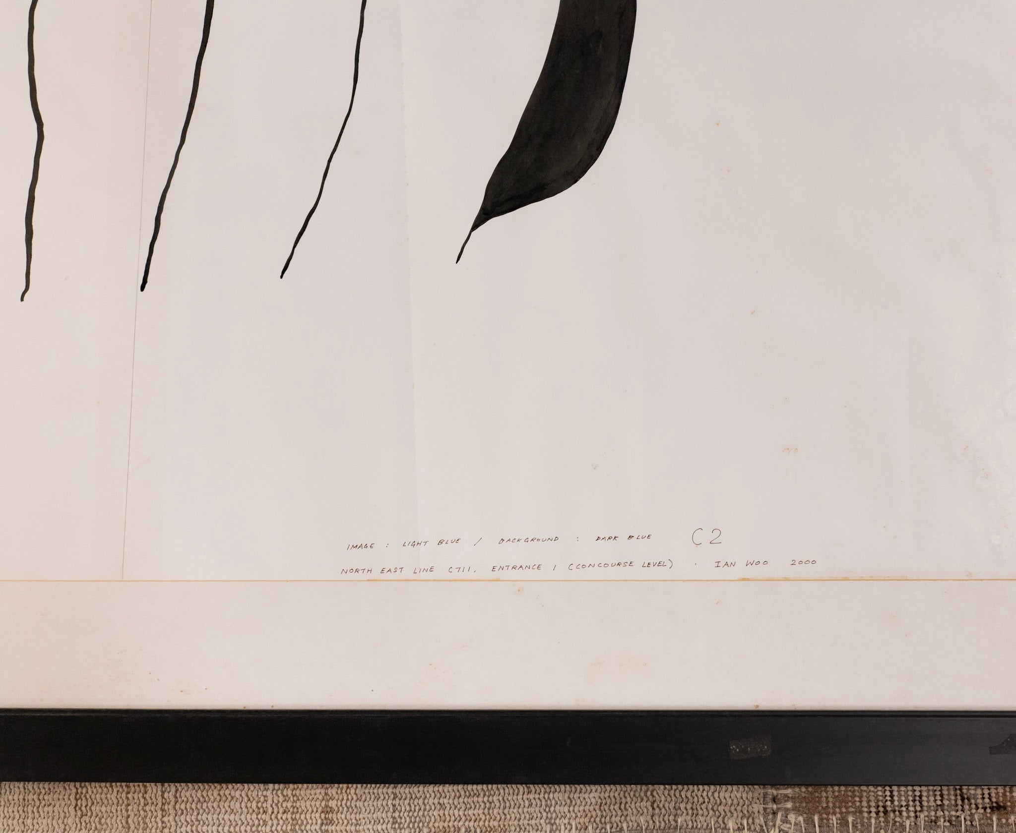 Ian Woo, Enigmatic Appearances #1 & #2 (Diptych), 2000