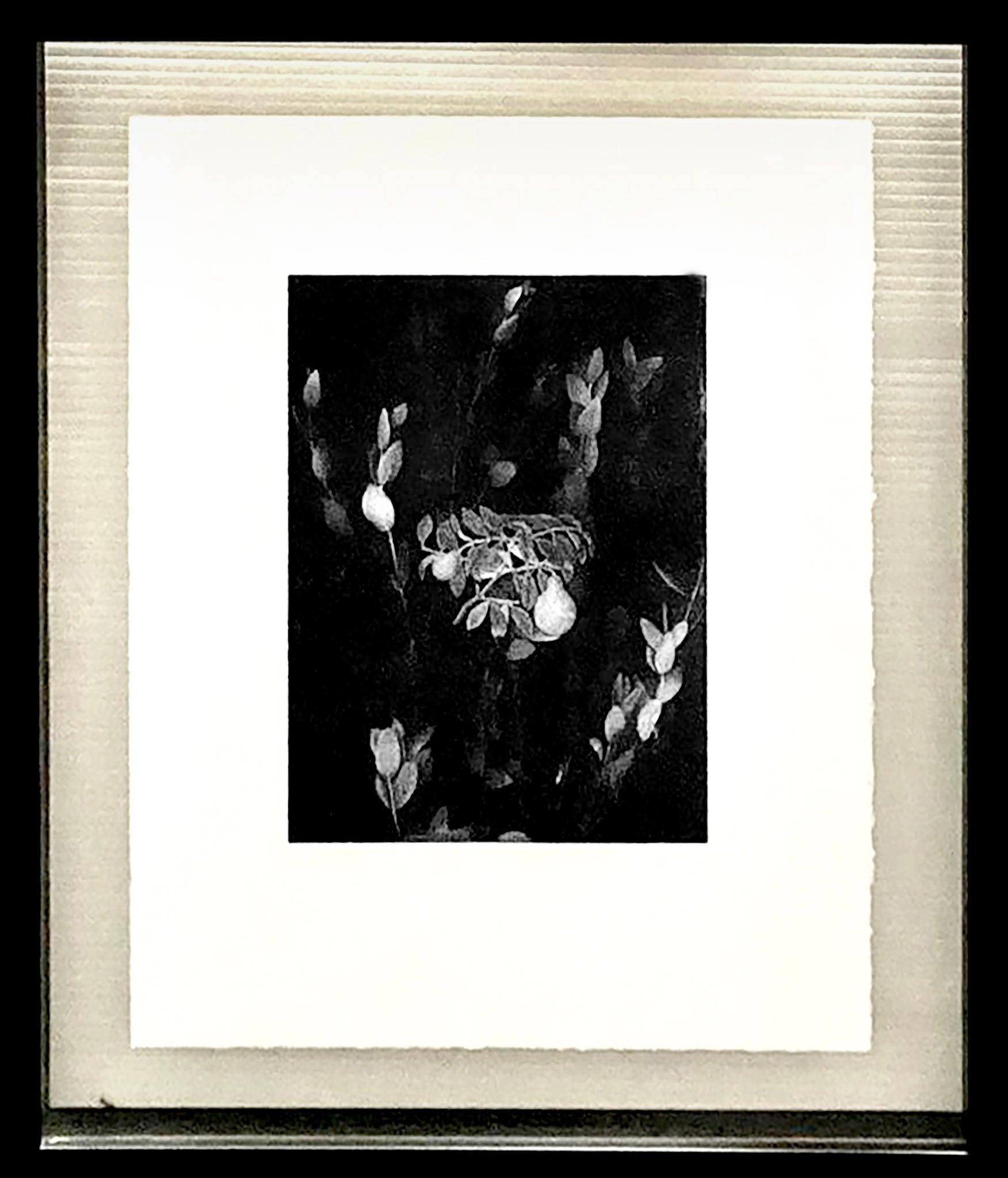 Weixin Quek Chong, Exponential Taxonomies Specimen 6, 2015