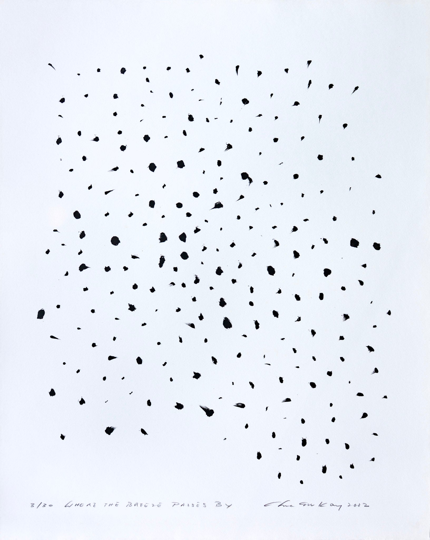 Chua Ek Kay, Where The Breeze Passes By, 2002