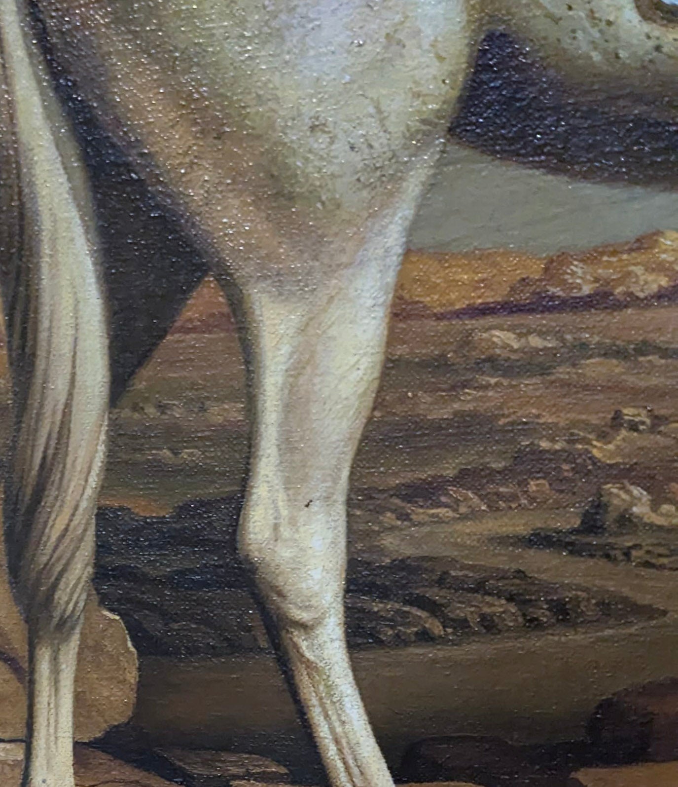 Probo, Untitled (Portrait of a Horse), 1996