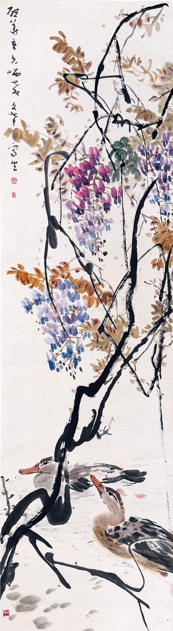 Chen Wen Hsi, A Pair of Ducks Swimming Beneath a Wisteria, Undated