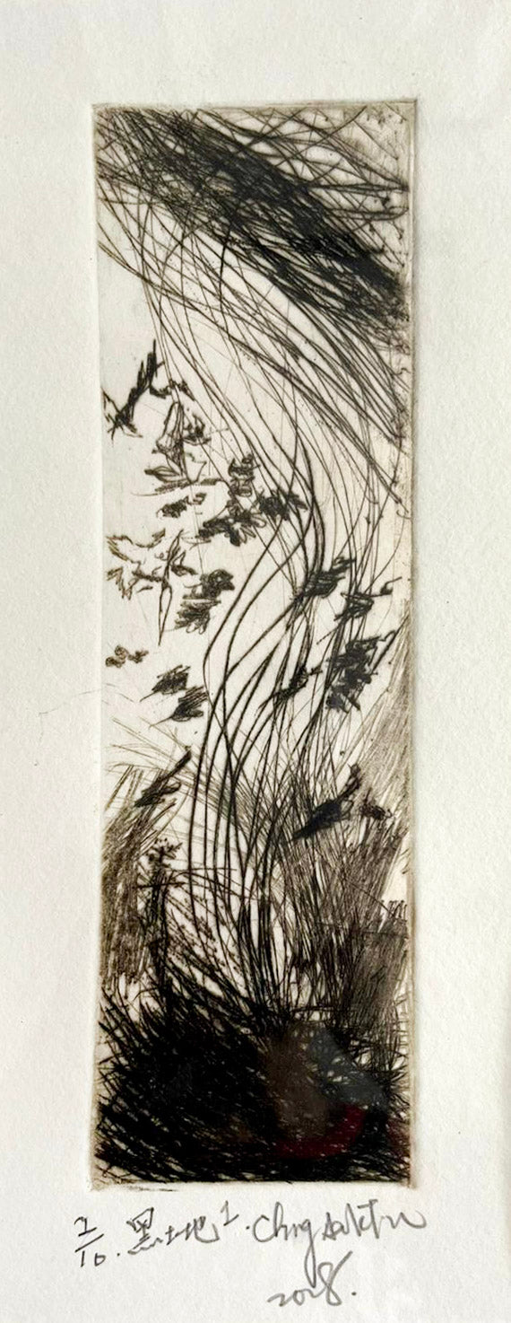 Chng Seok Tin, Black Earth 1, 2008