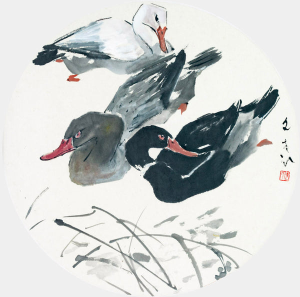 Chen Wen Hsi, Three Ducks with Reeds, Undated