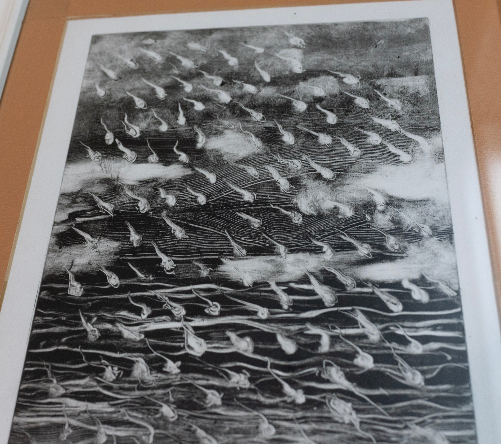 Chng Seok Tin, Tadpoles, 1987