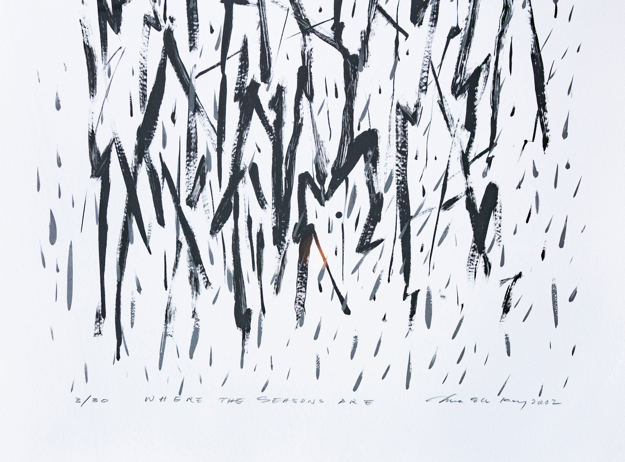 Chua Ek Kay, Where The Seasons Are, 2002