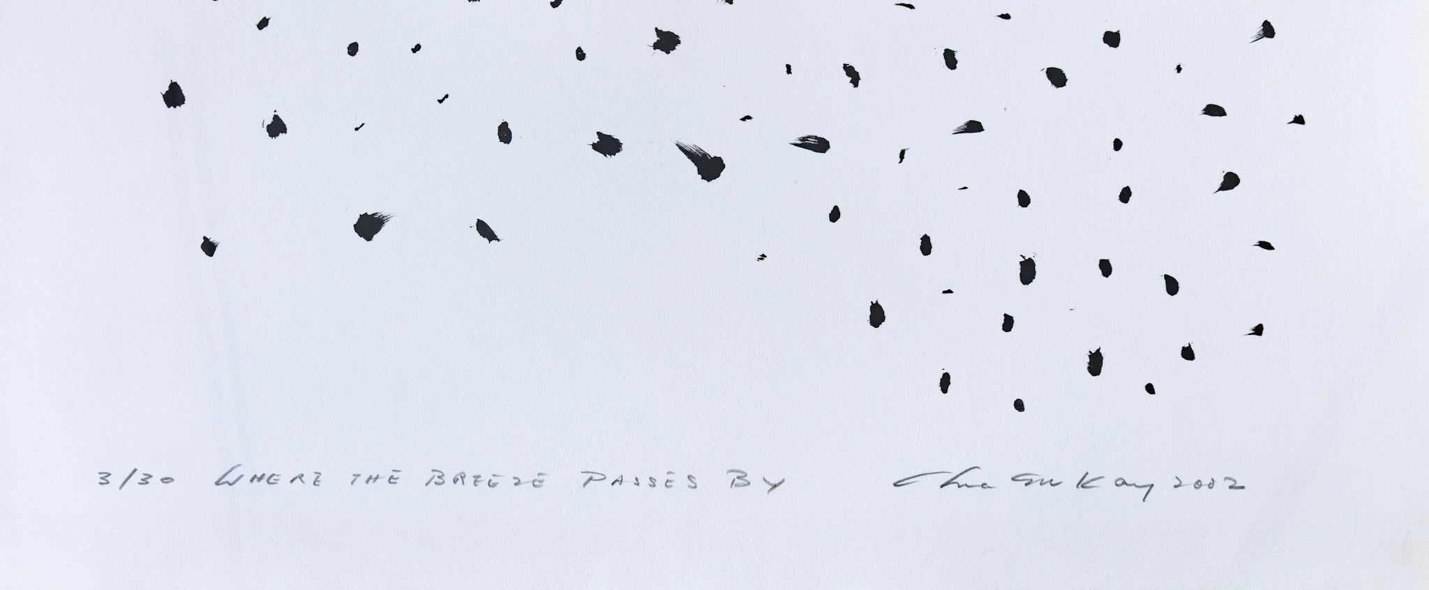 Chua Ek Kay, Where The Breeze Passes By, 2002