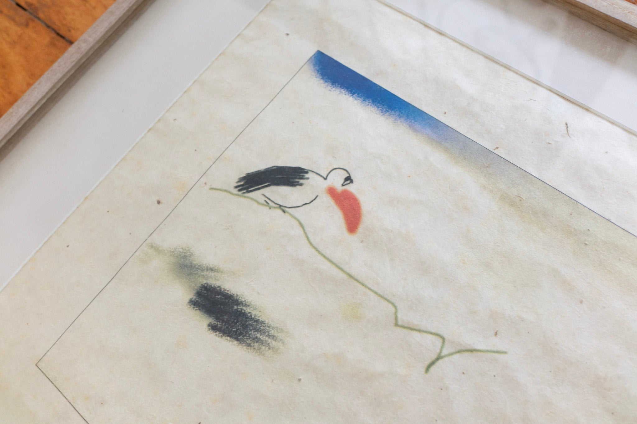 Lin Hsin Hsin, Untitled (Toucan), 1997