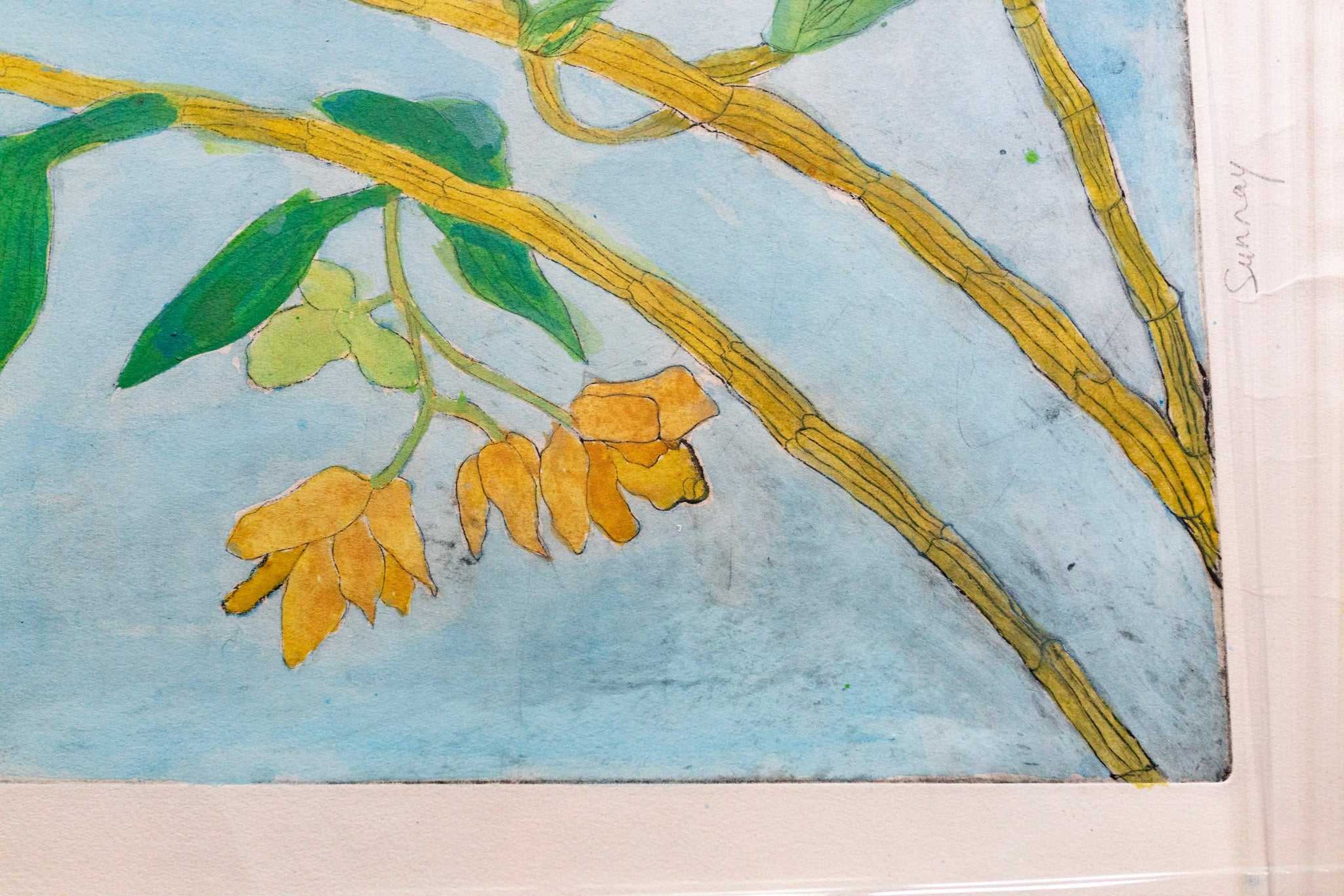 Chen Cheng Mei, Sunrays, Undated