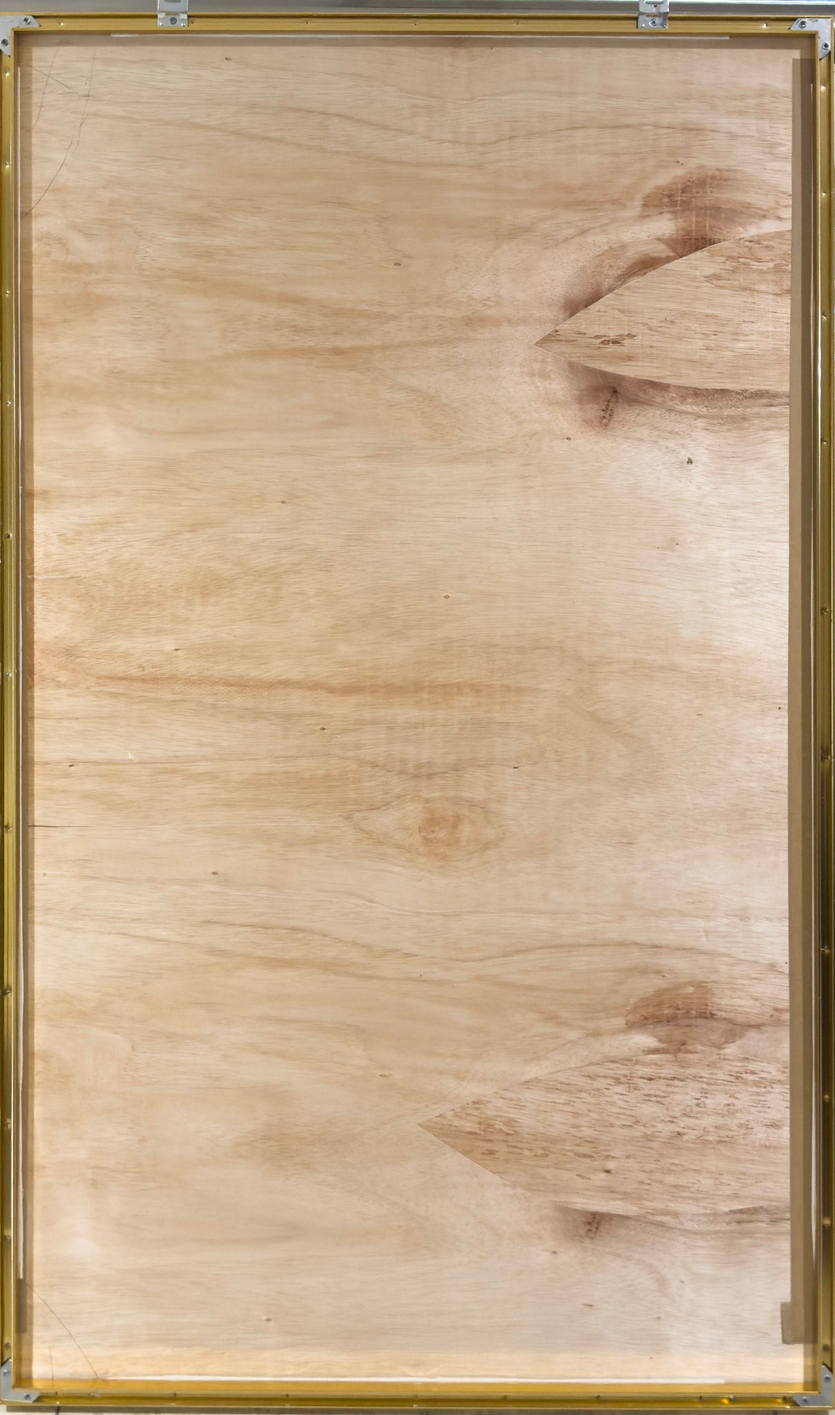 Goh Beng Kwan, Untitled (Thriving), 2016