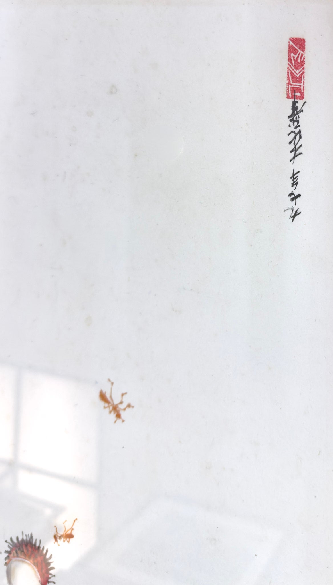 Lim Mu Hue, Rambutans, Undated