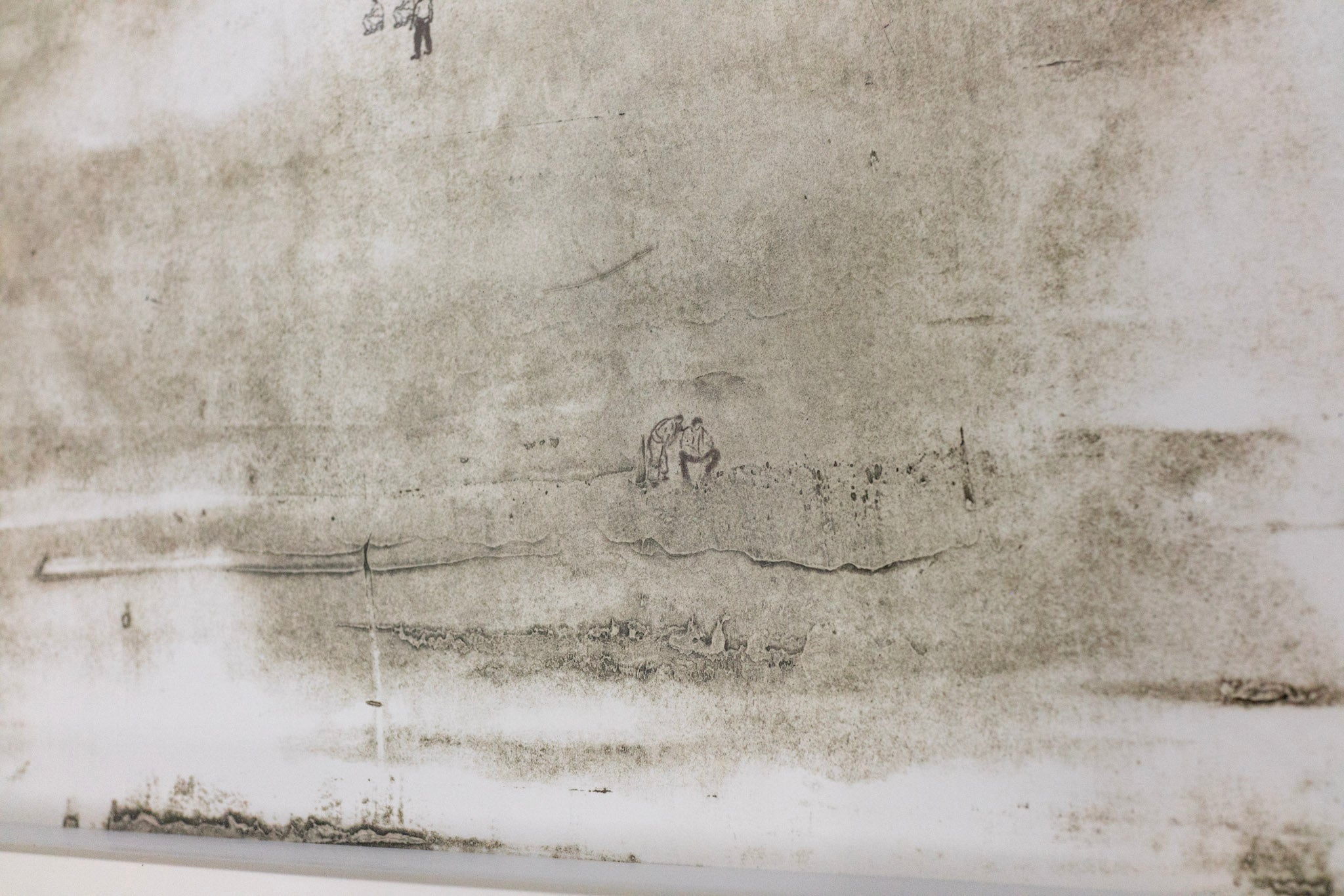 Chen Shitong, Fields of Care #3, 2012