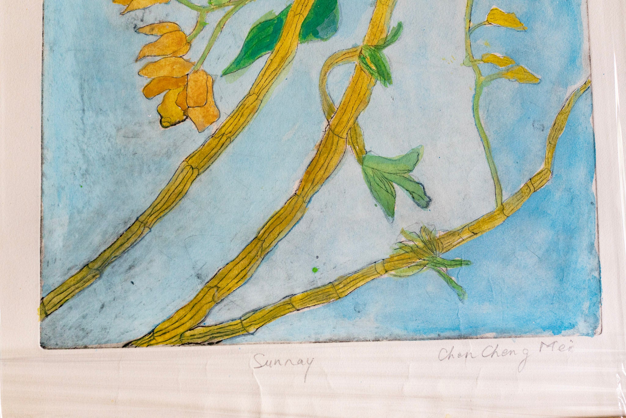 Chen Cheng Mei, Sunrays, Undated