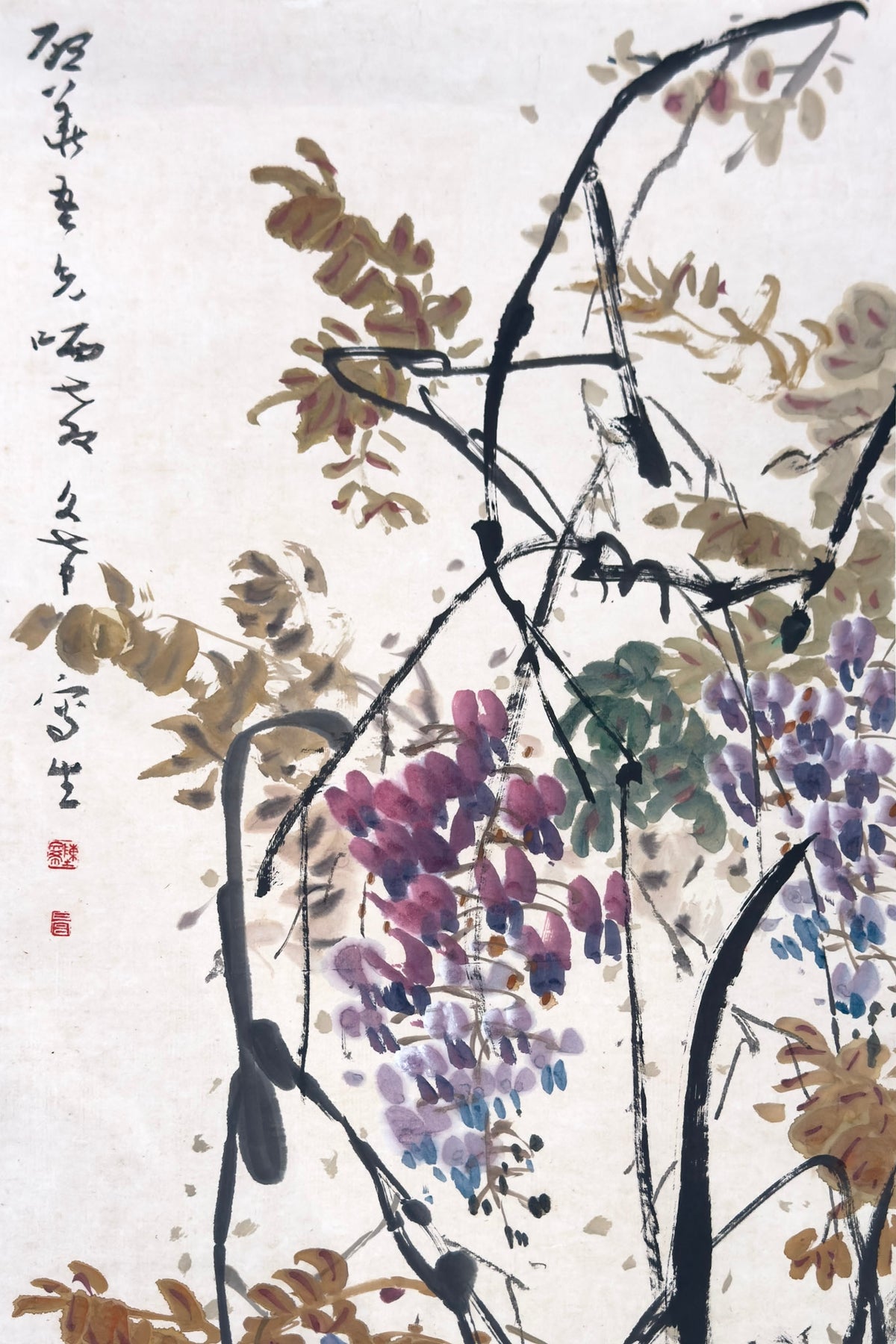 Chen Wen Hsi, A Pair of Ducks Swimming Beneath a Wisteria, Undated
